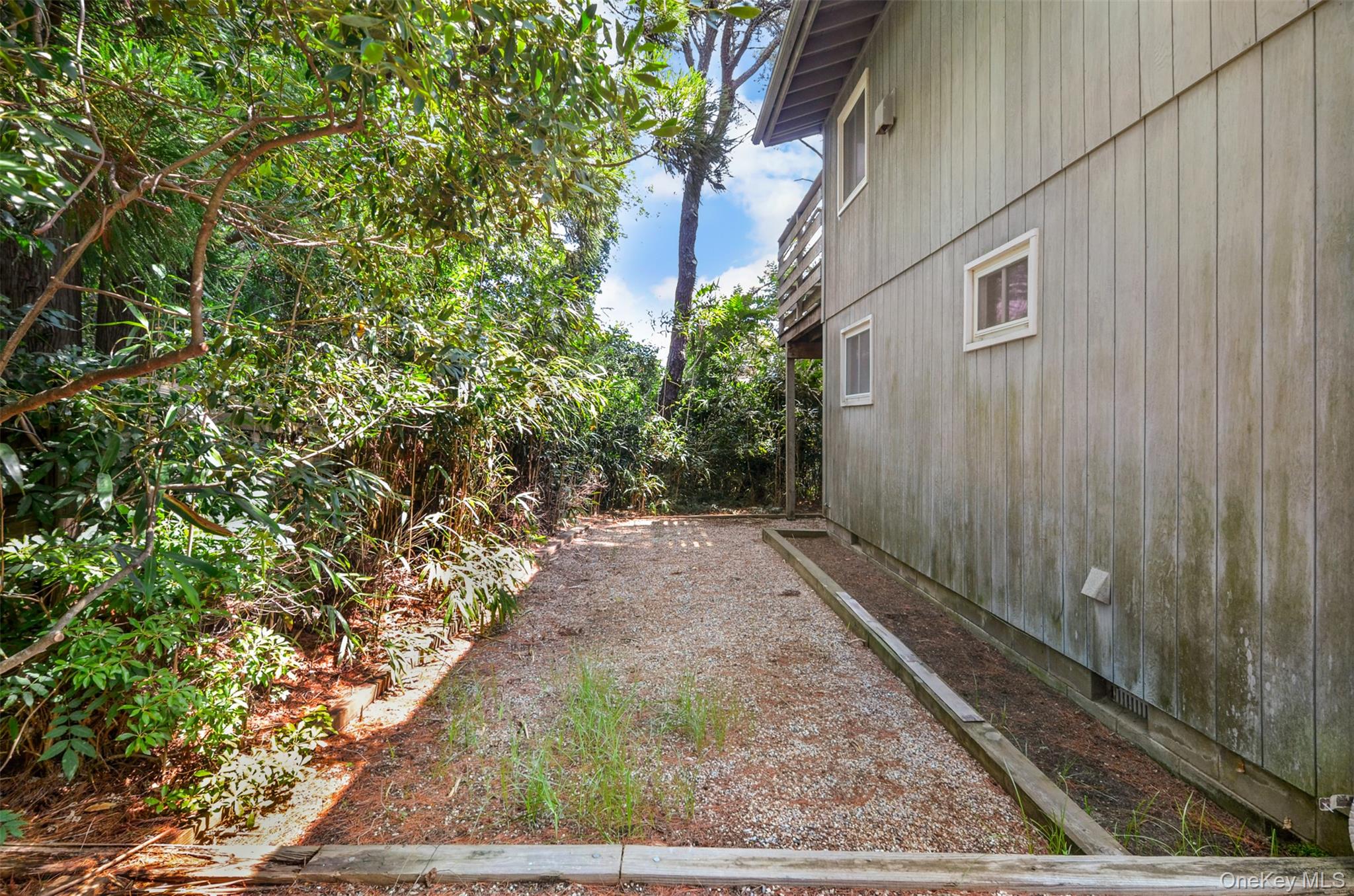 11 Devon Road Property Photo 29