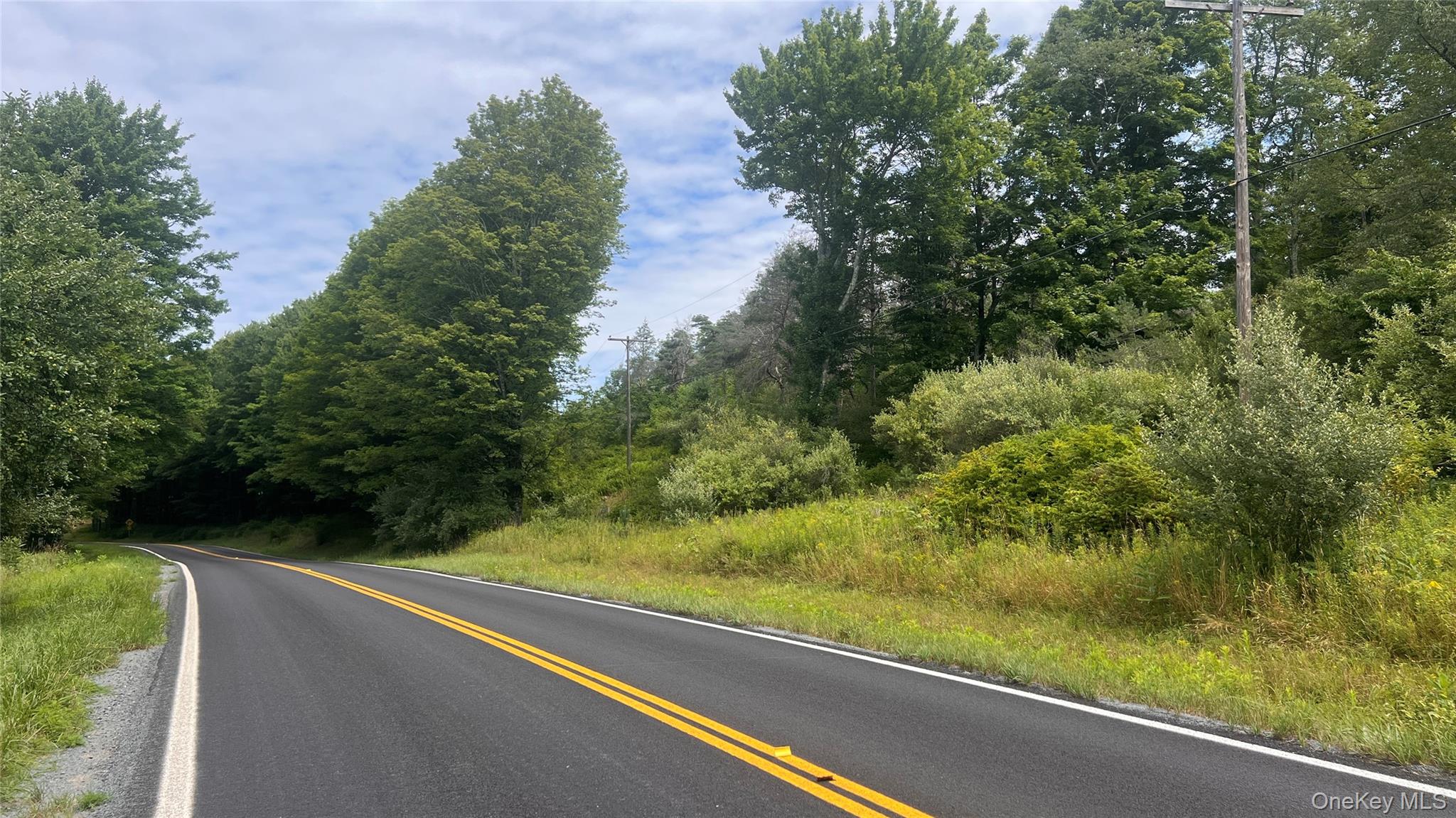 Horseshoe Lake Road Property Photo 1