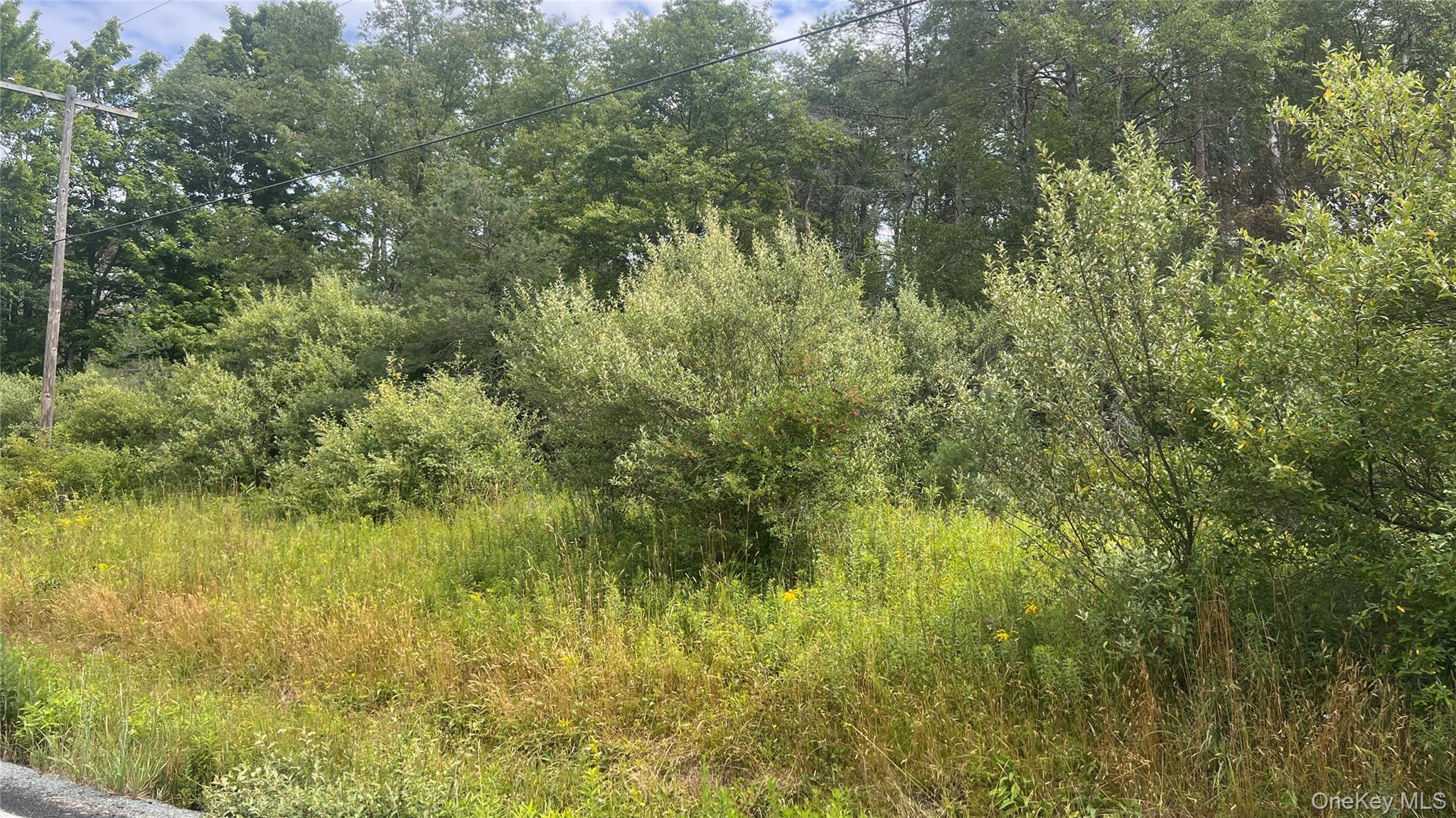 Horseshoe Lake Road Property Photo 2