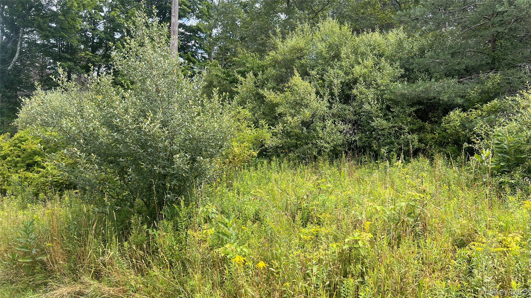 Horseshoe Lake Road Property Photo 3