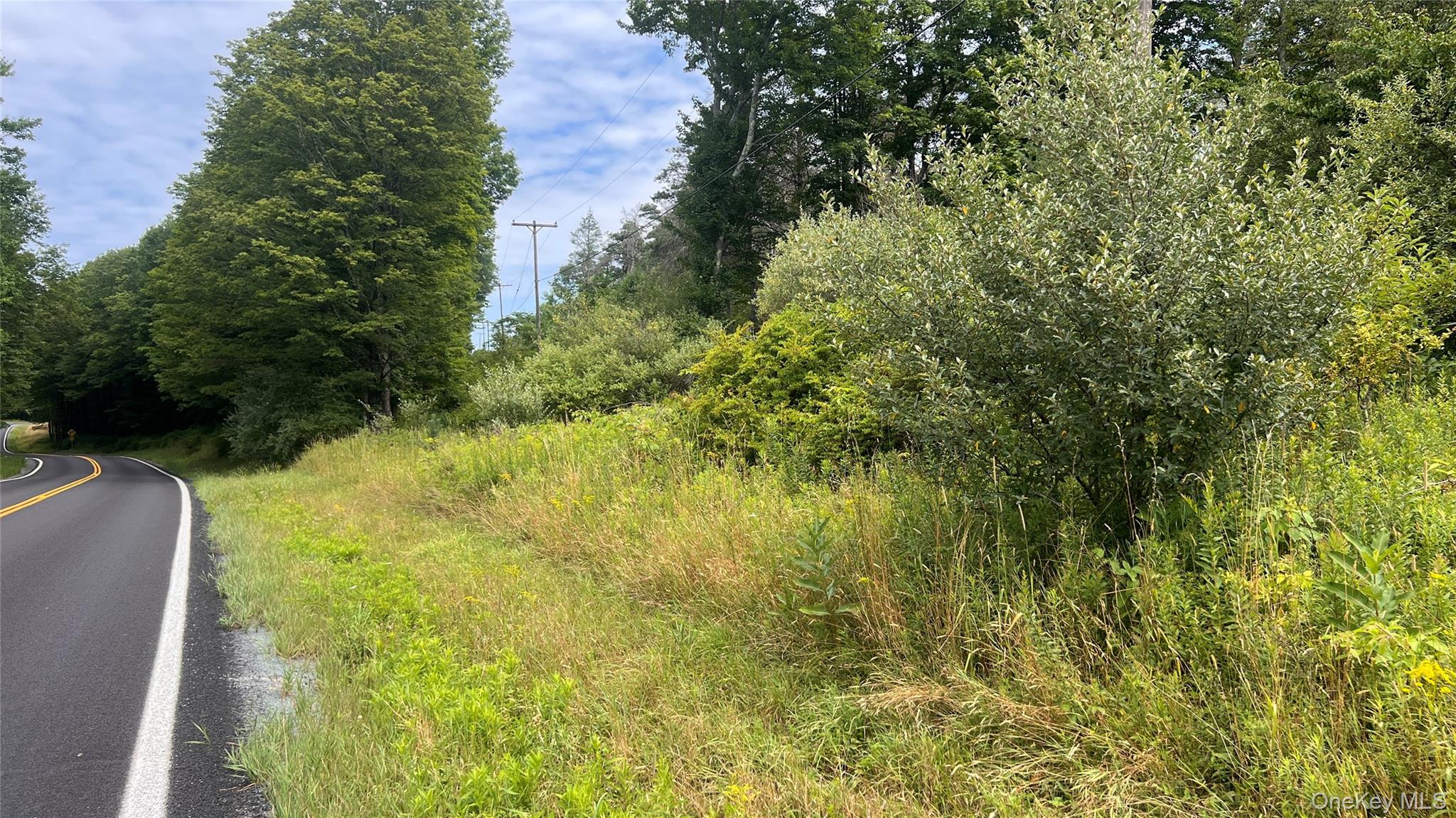 Horseshoe Lake Road Property Photo 4