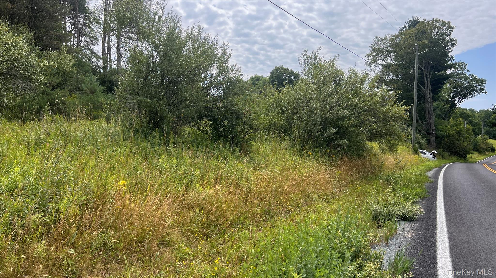 Horseshoe Lake Road Property Photo 5