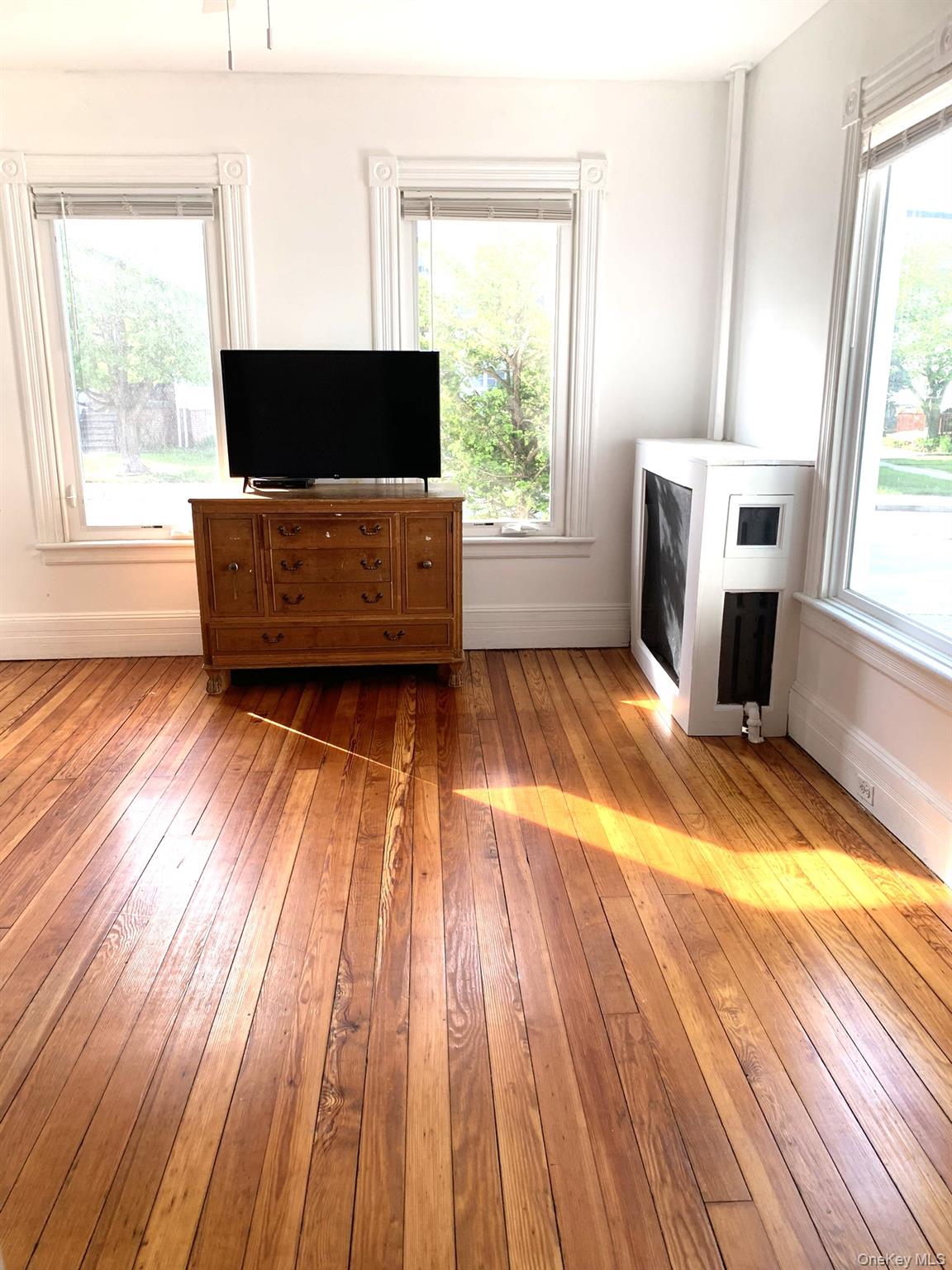 61 Schenck Avenue Property Photo 4