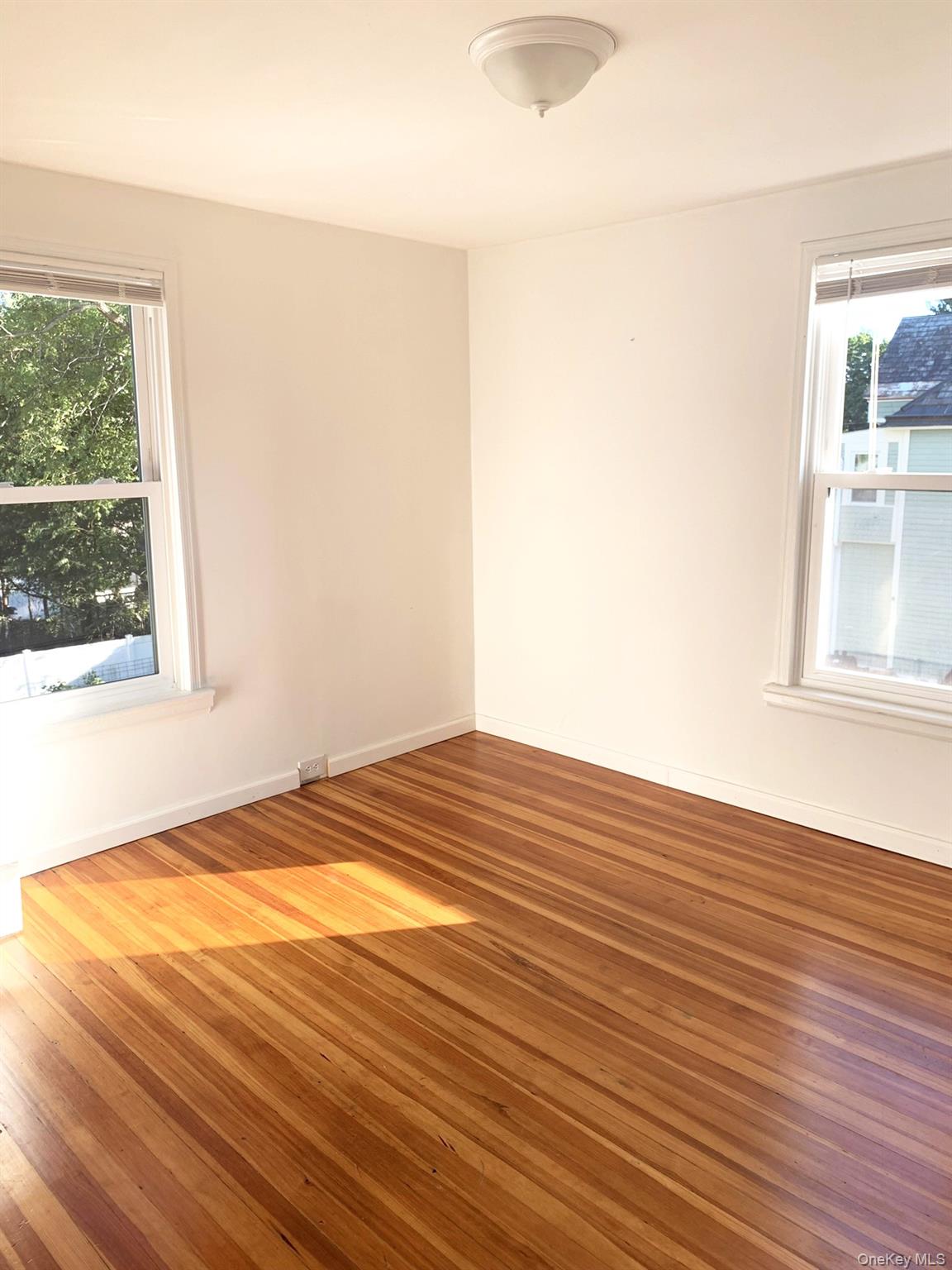 61 Schenck Avenue Property Photo 13