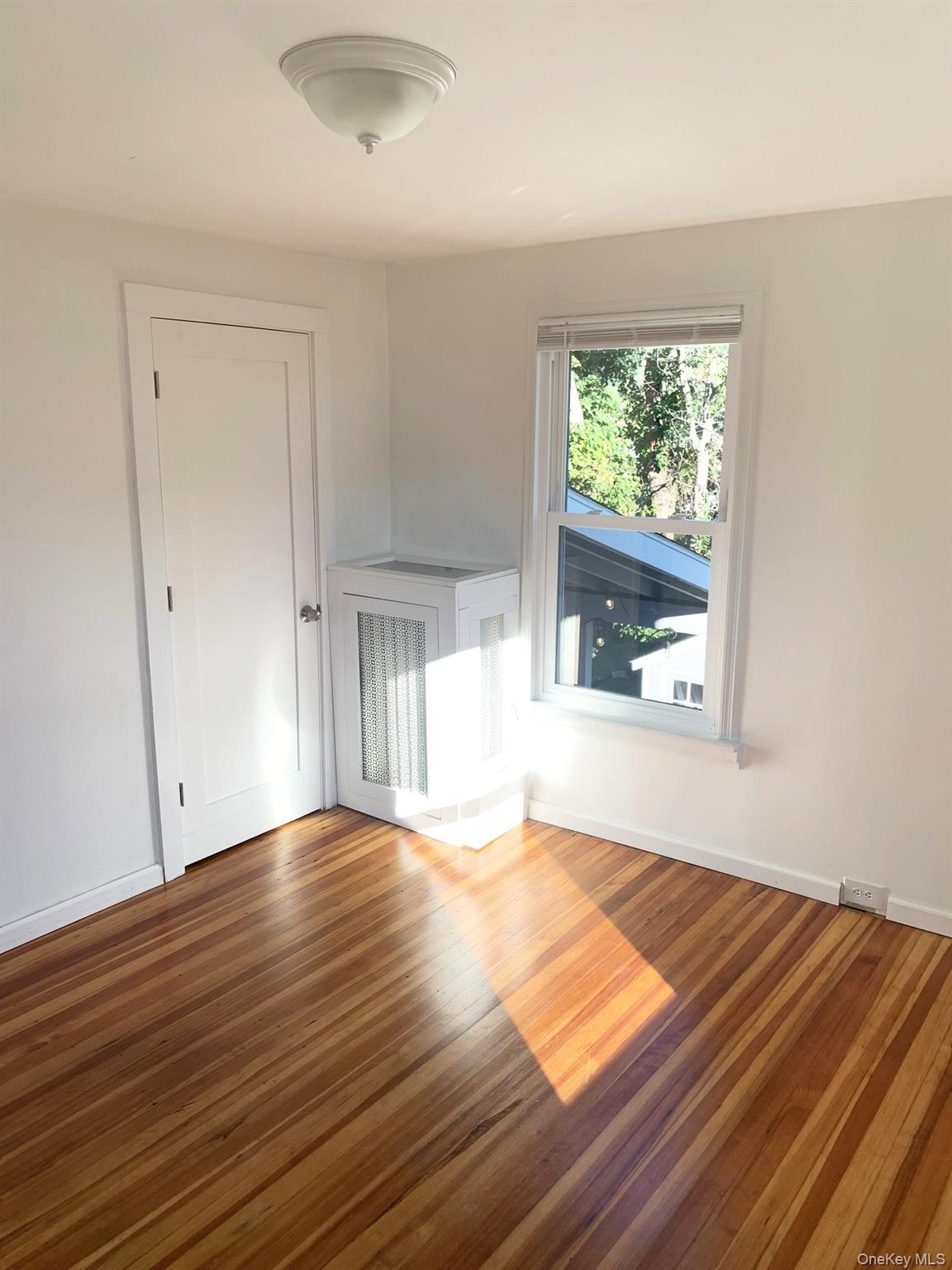 61 Schenck Avenue Property Photo 14
