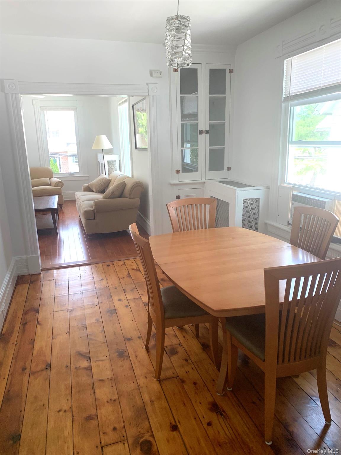 61 Schenck Avenue Property Photo 17