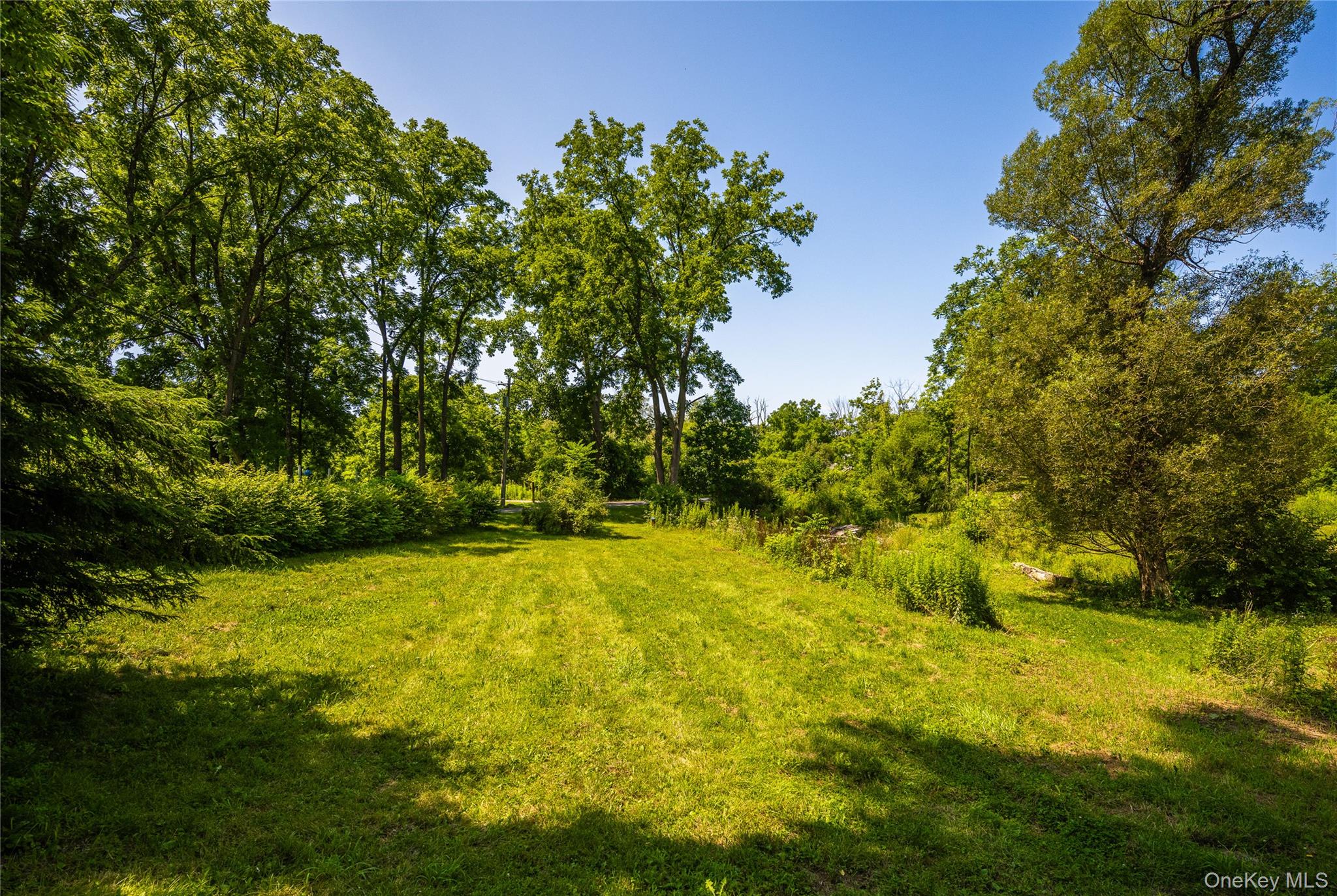 35 Benton Road Property Photo 8