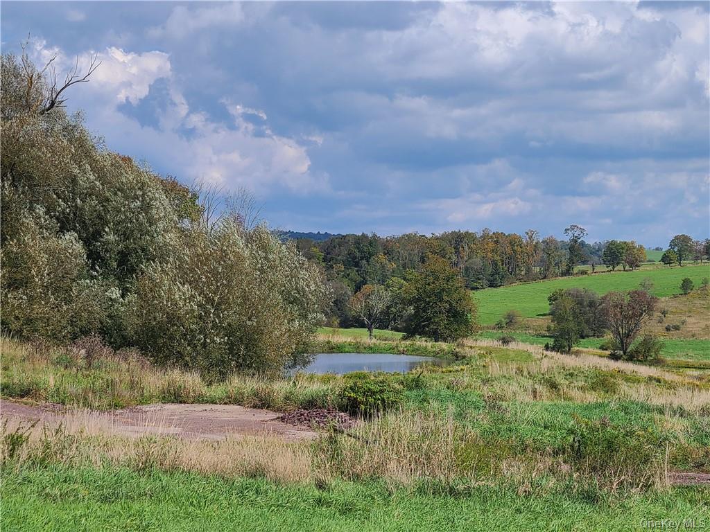 32 Long Farm Way Property Photo 25