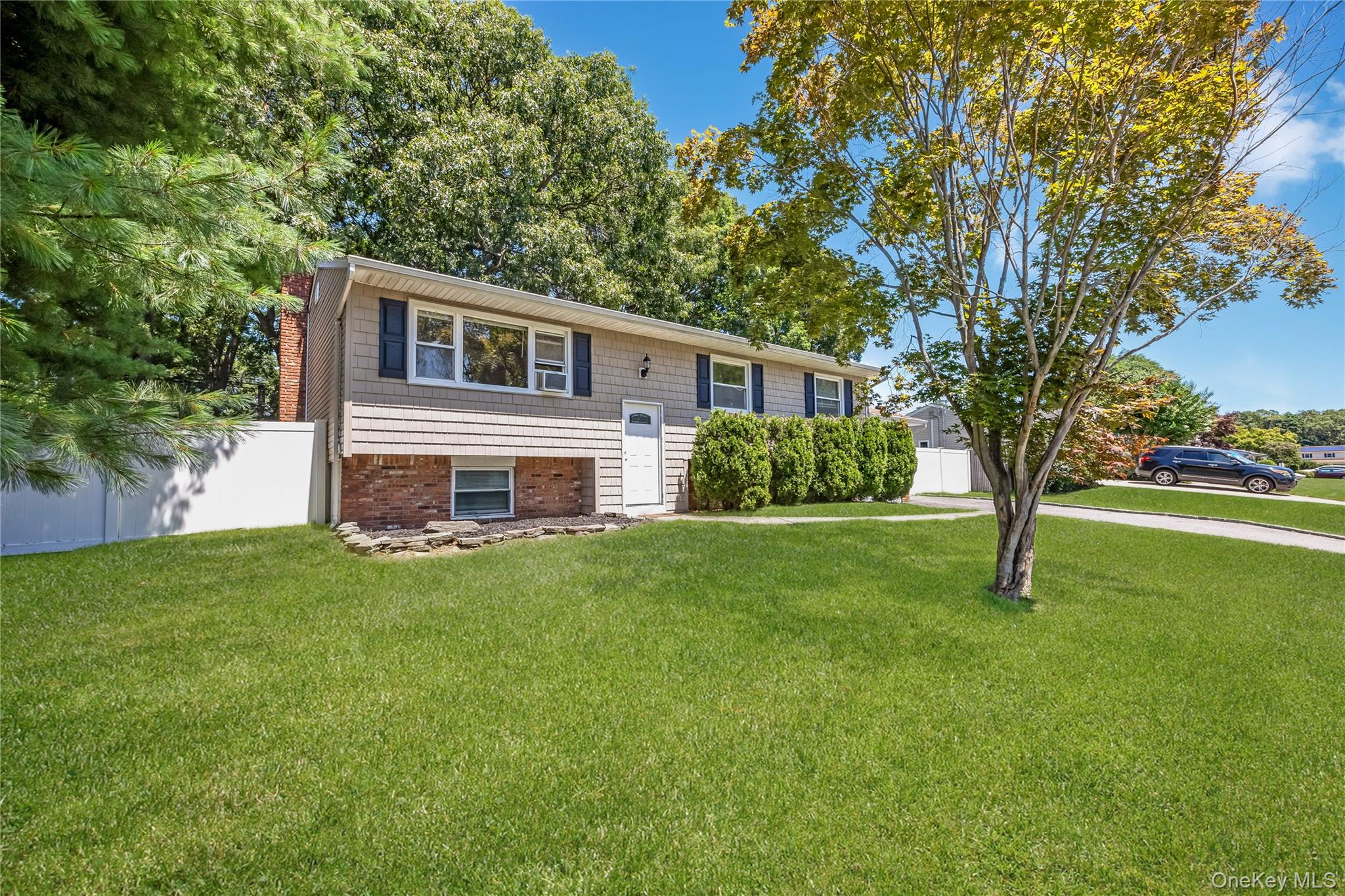 27 Morton Street Property Photo 1