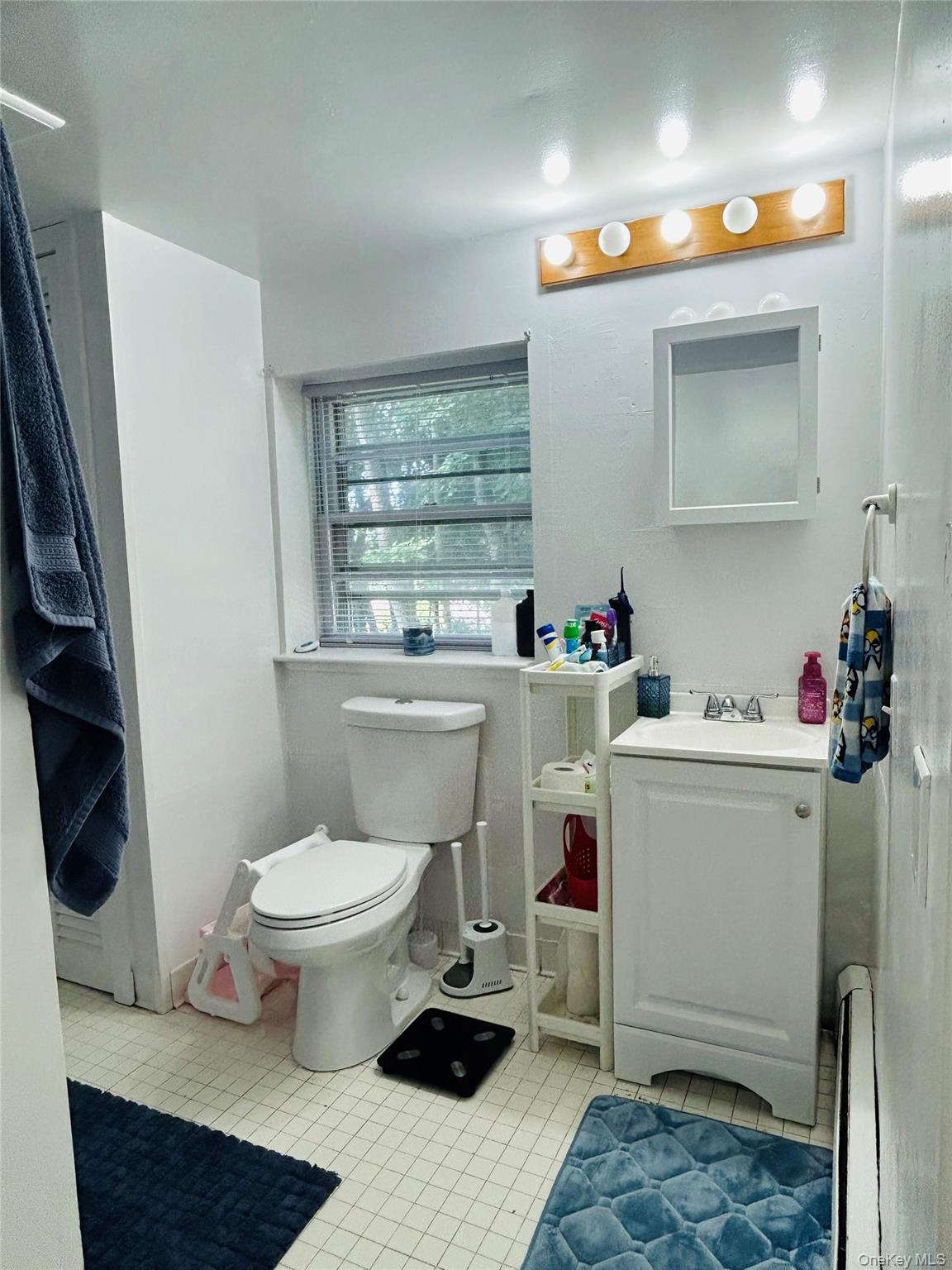 147 Westminster Drive Property Photo 35
