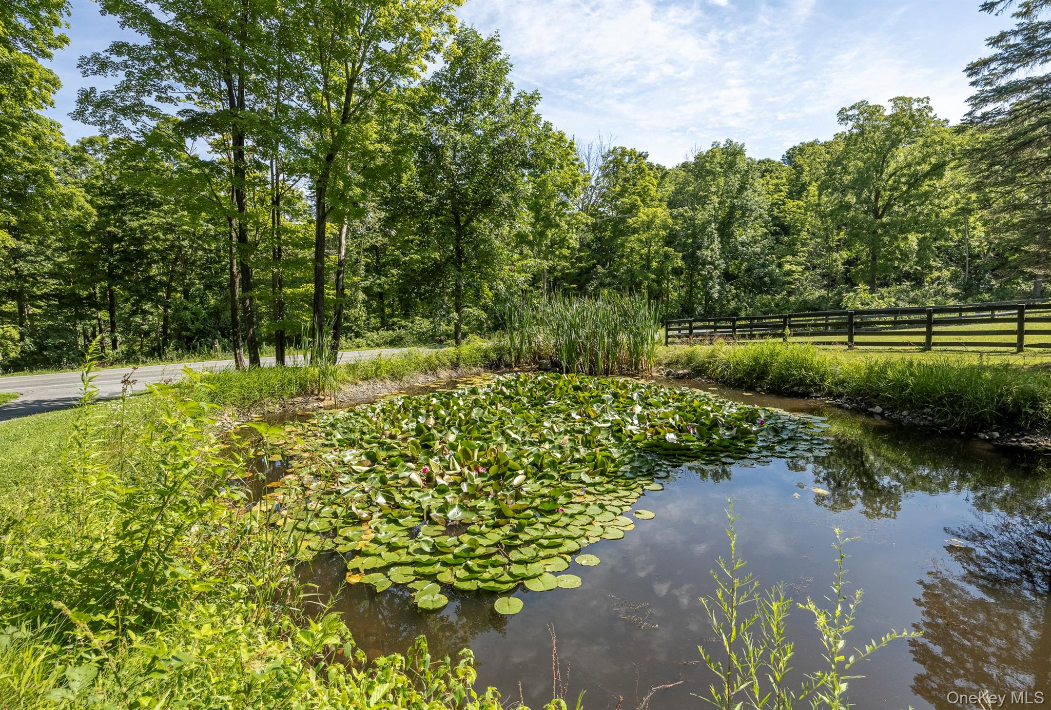 536 Camby Road Property Photo 35