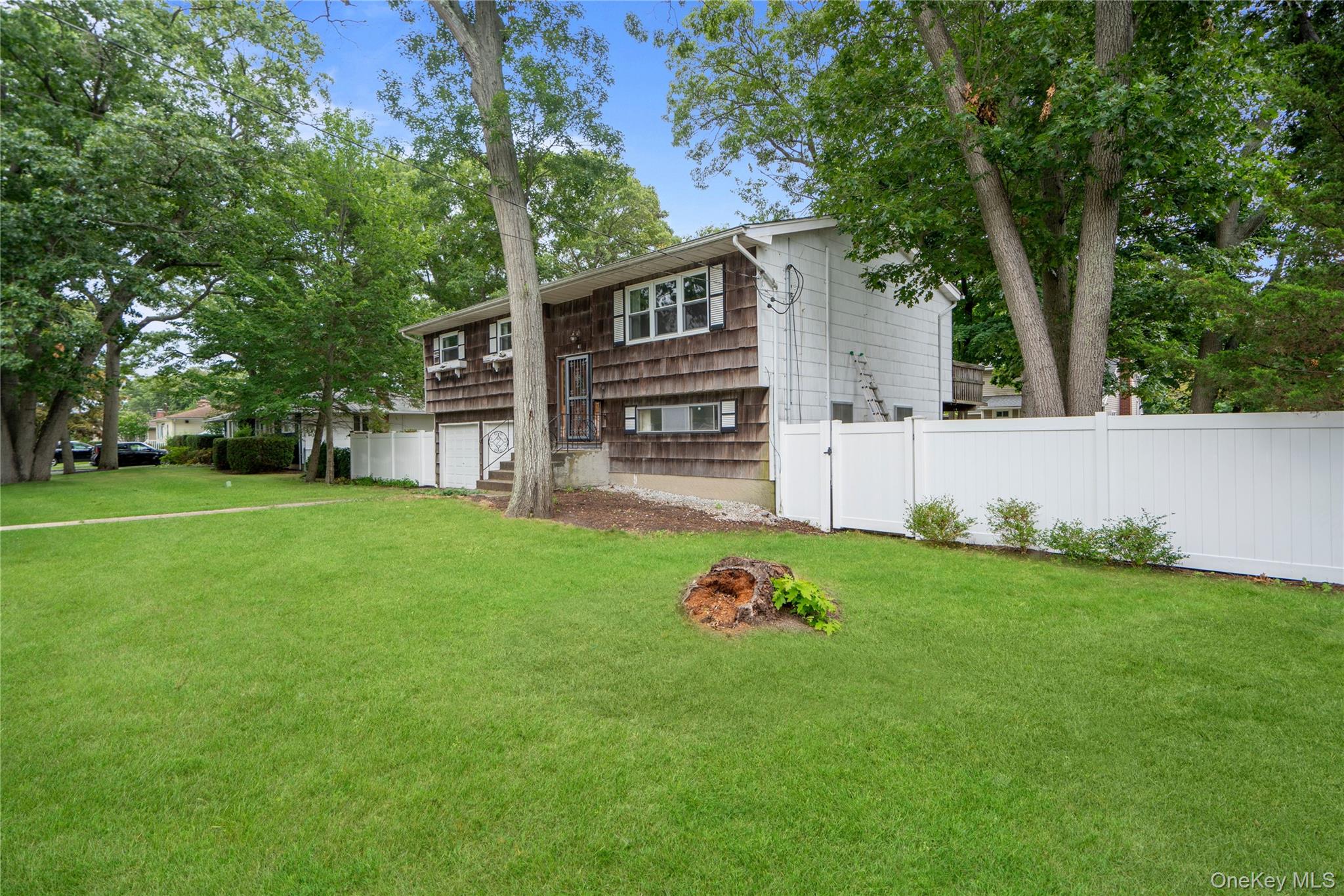 8 Rodney Avenue Property Photo 3