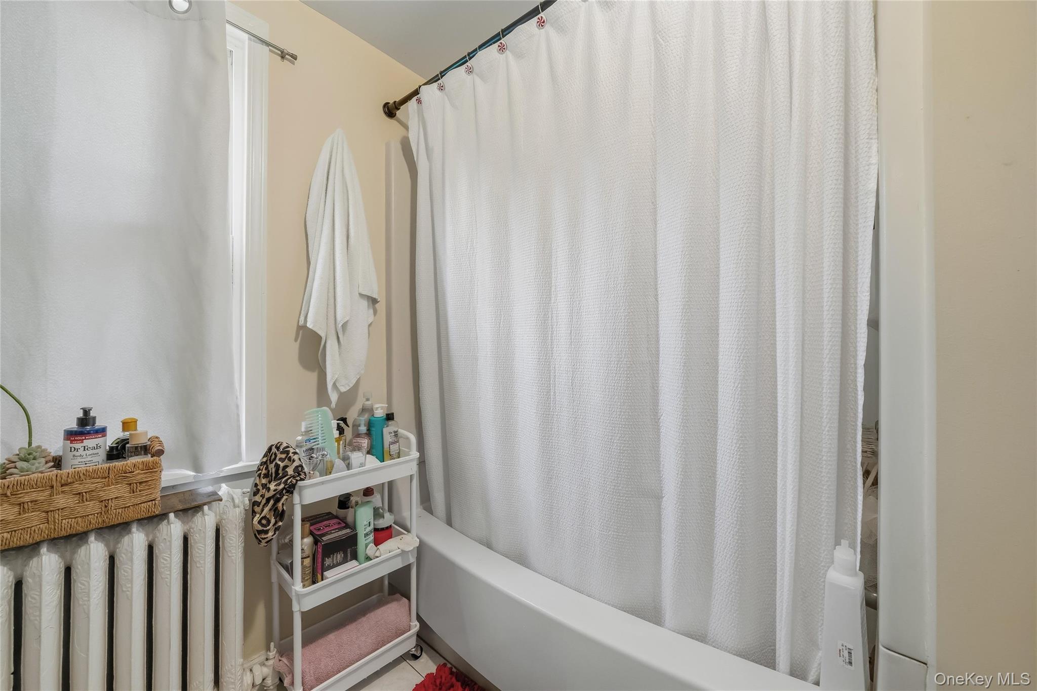 10 Park Avenue Property Photo 37