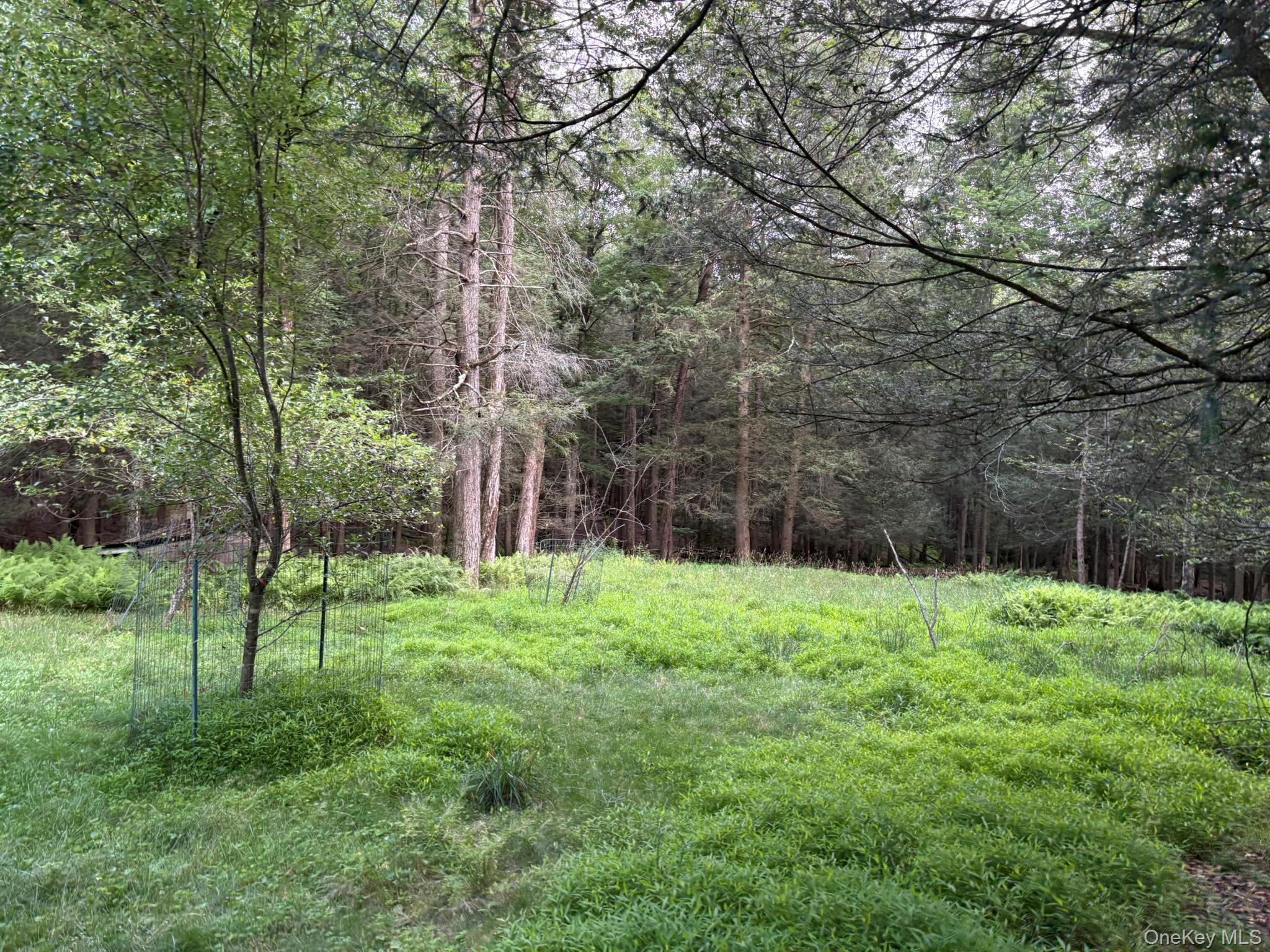 260 Schumway Road Property Photo 11