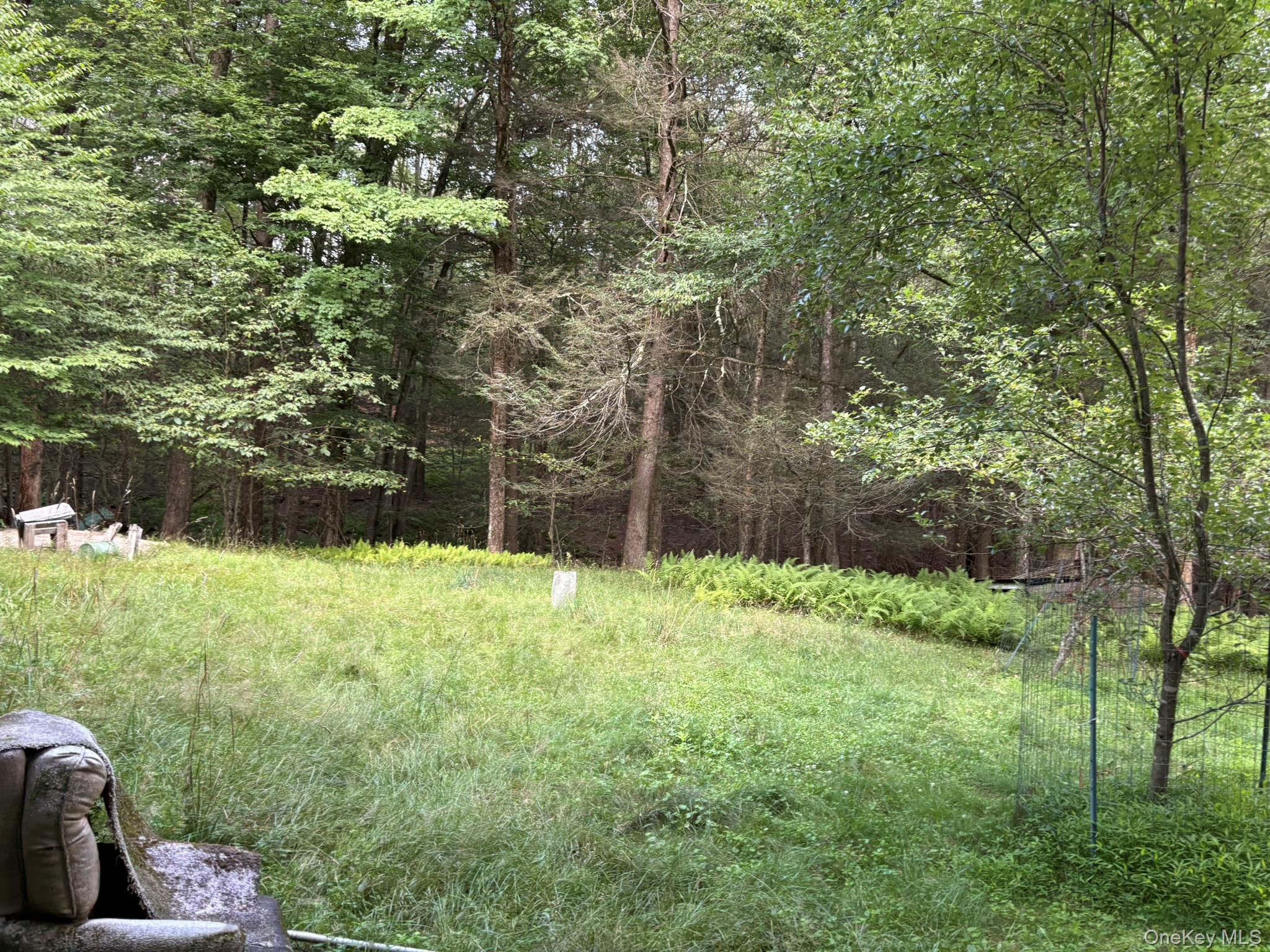 260 Schumway Road Property Photo 14