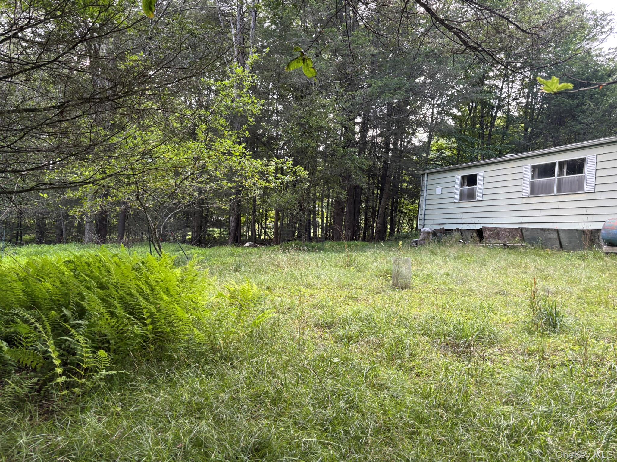 260 Schumway Road Property Photo 16