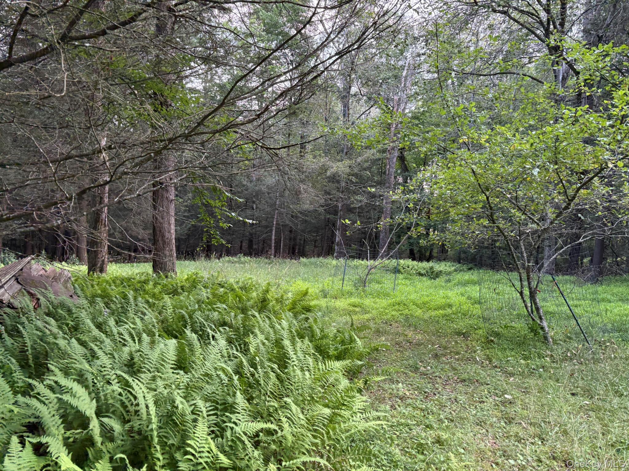 260 Schumway Road Property Photo 18
