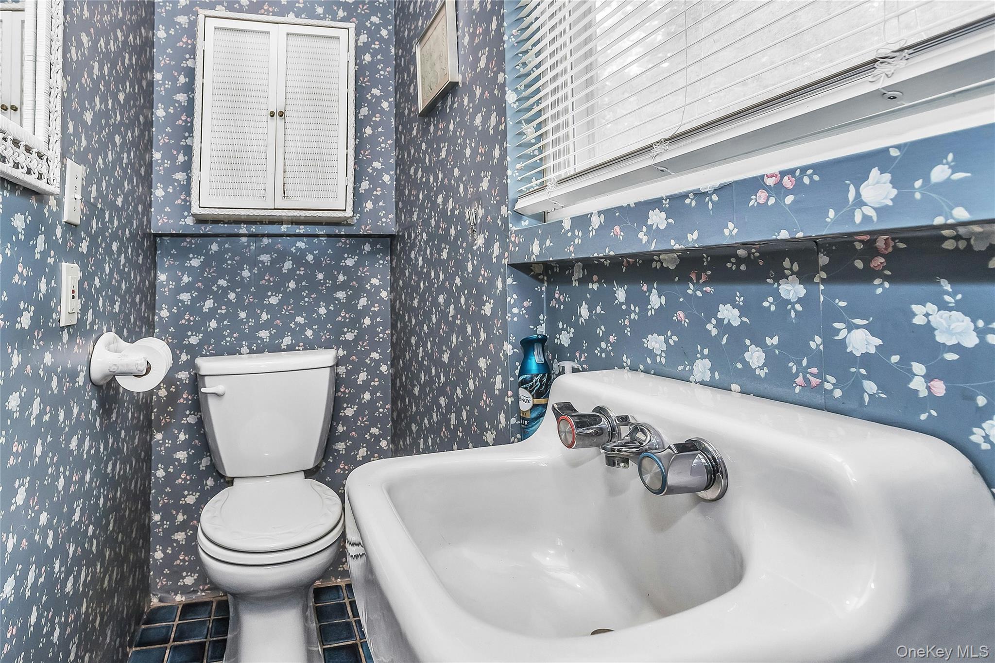 56 Denton Avenue Property Photo 15