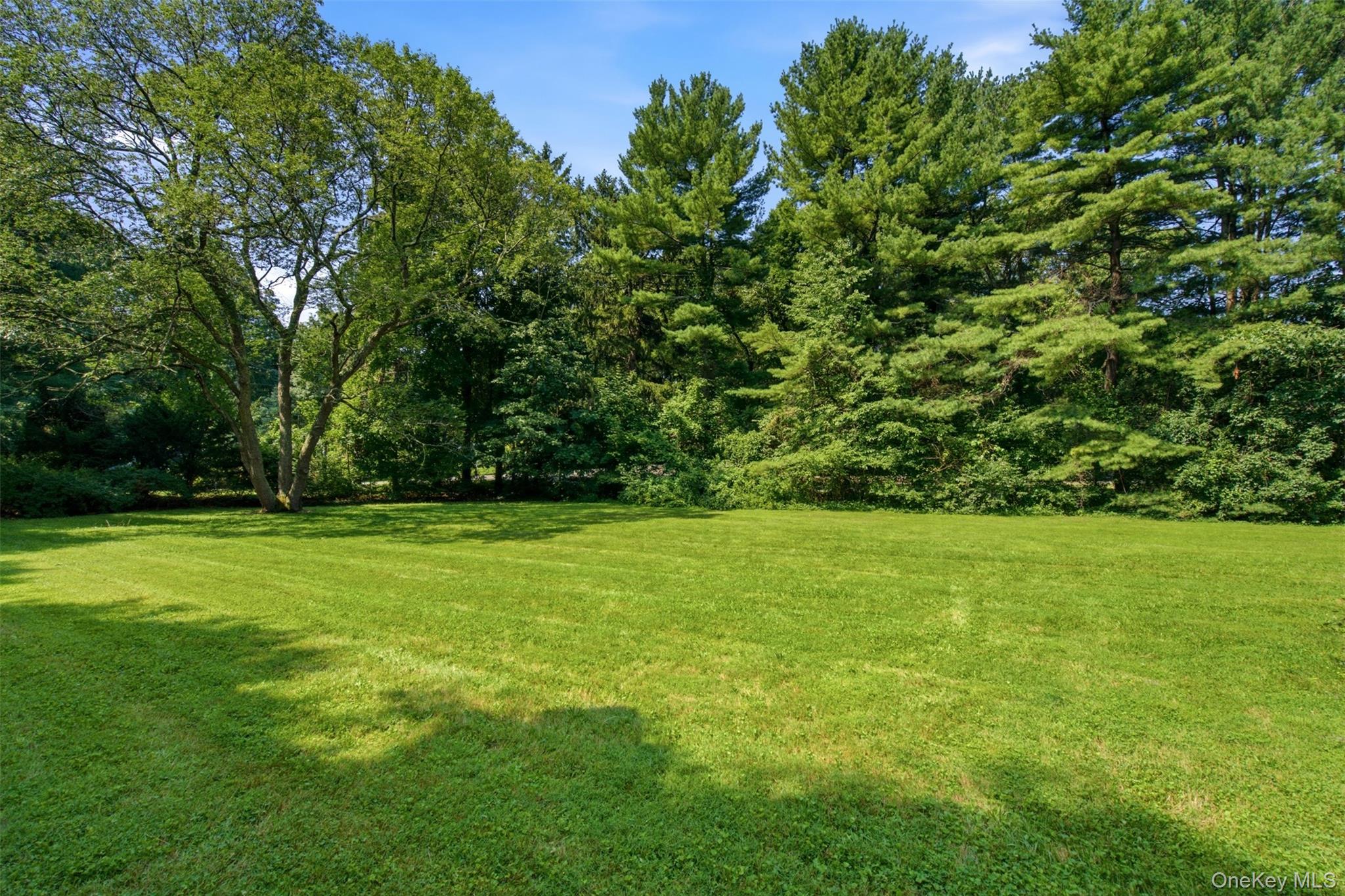 1936 Midlane Property Photo 40