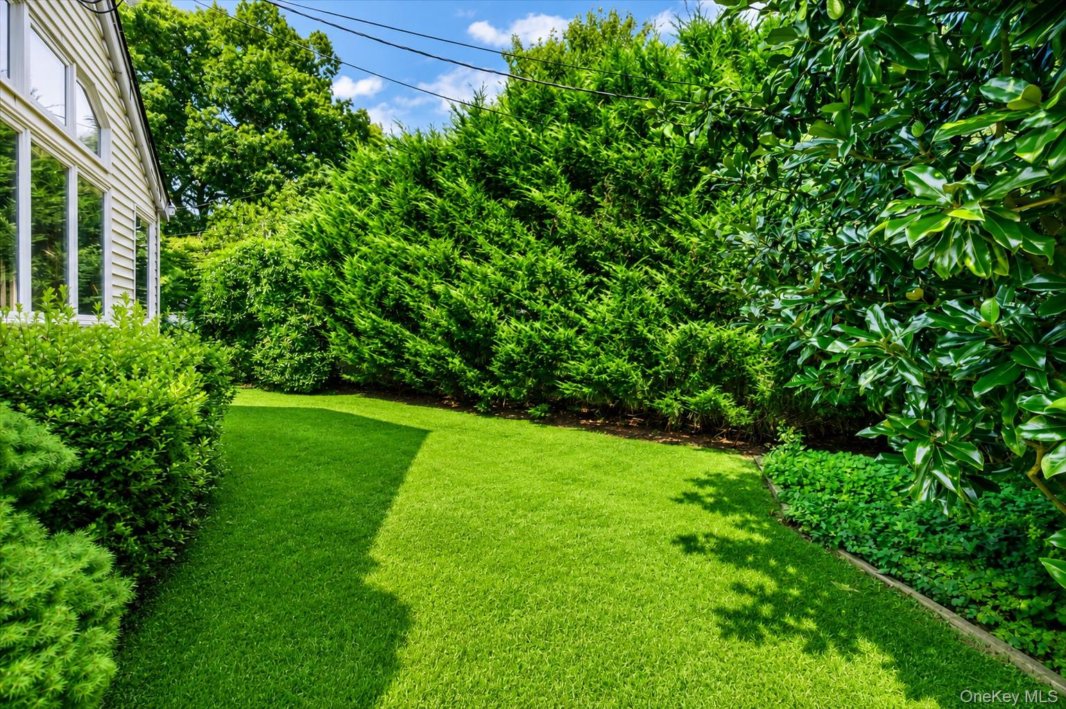 51 Longworth Avenue Property Photo 28
