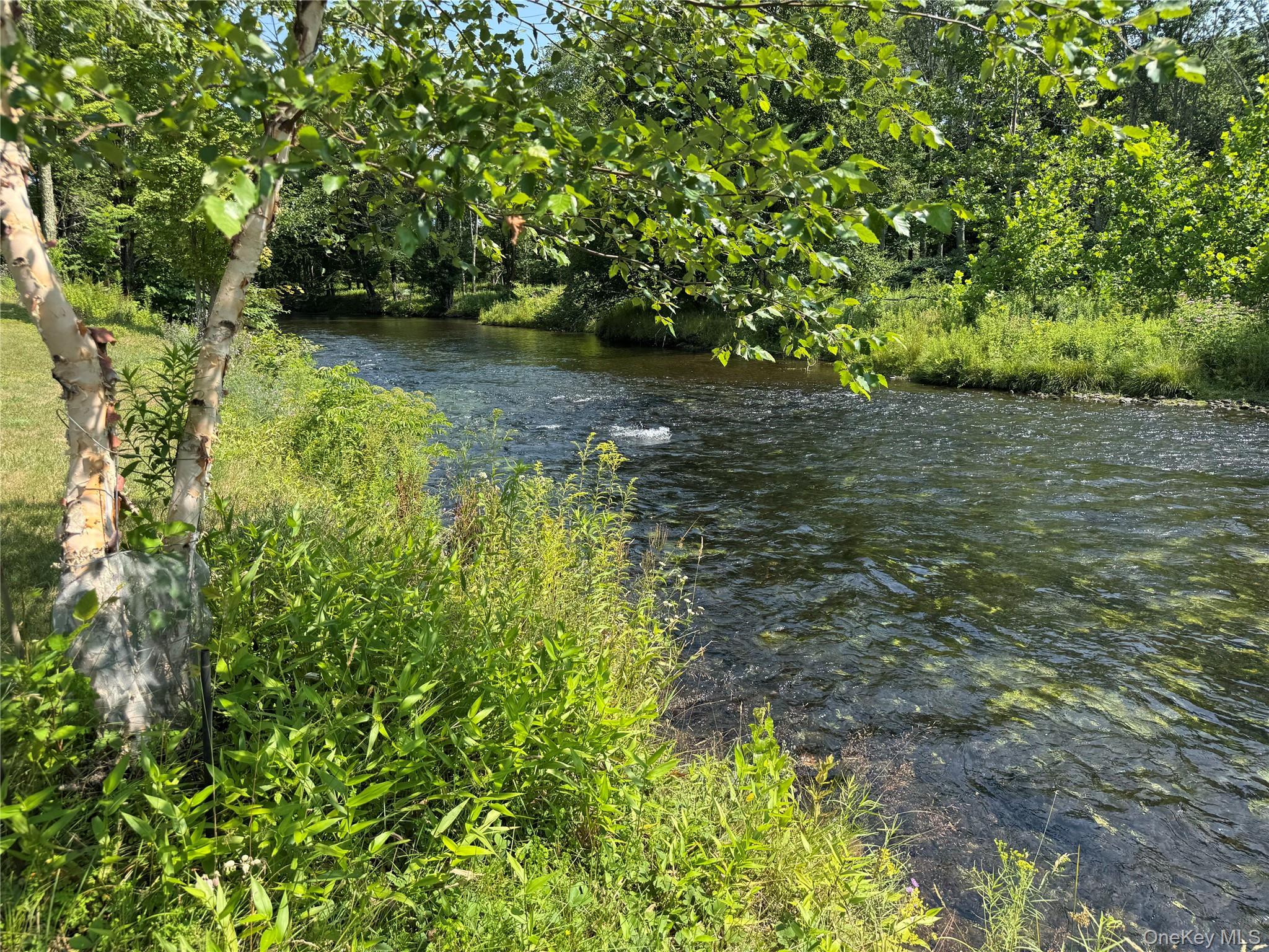 6269 State Route 42 6279 Property Photo 30