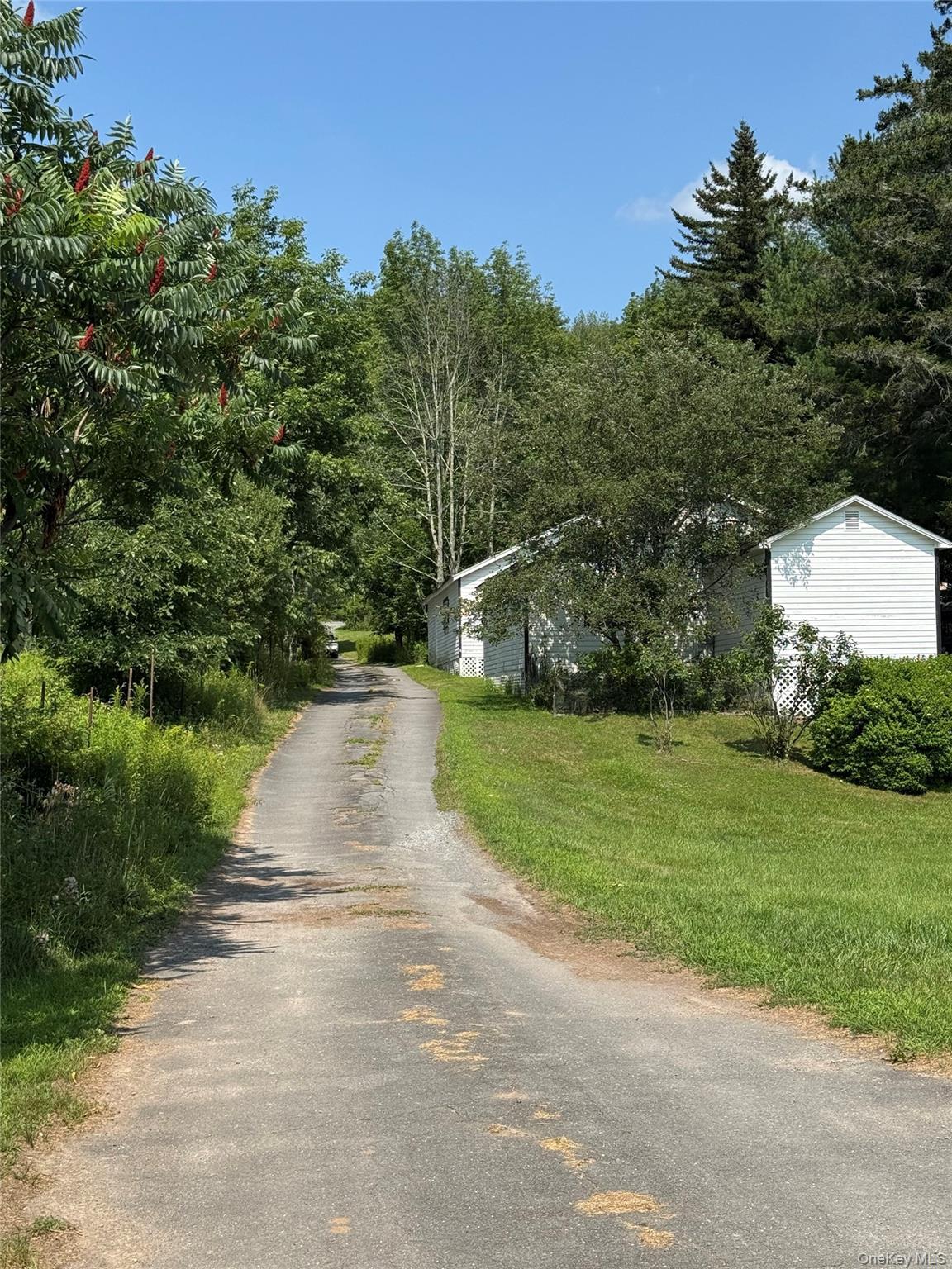 6269 State Route 42 6279 Property Photo 35