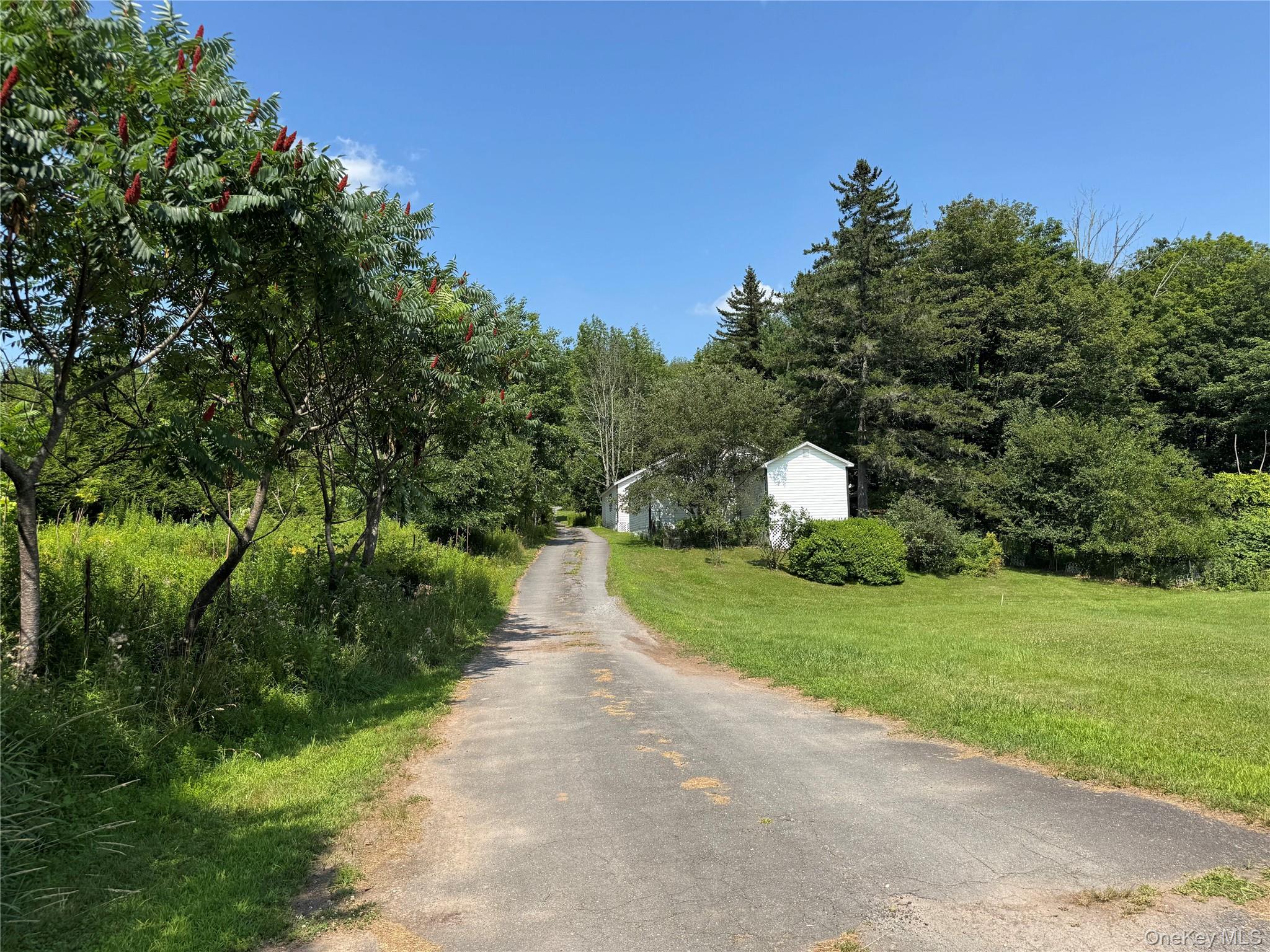 6269 State Route 42 6279 Property Photo 37