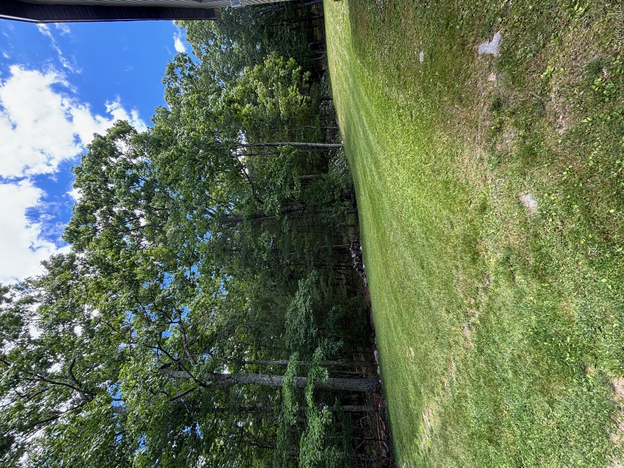 27 Elbert Road Property Photo 22