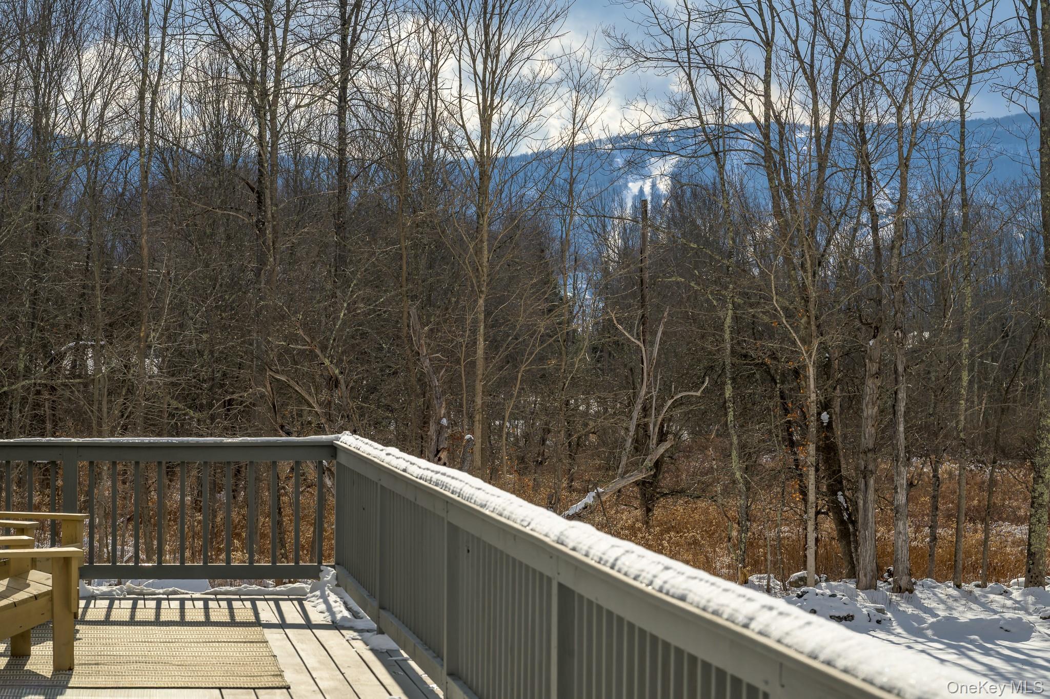 305 Mitchell Hollow Road Property Photo 40