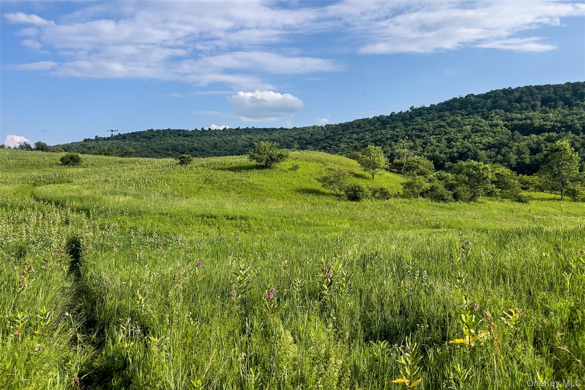 7881 County Highway 14 Property Photo 49