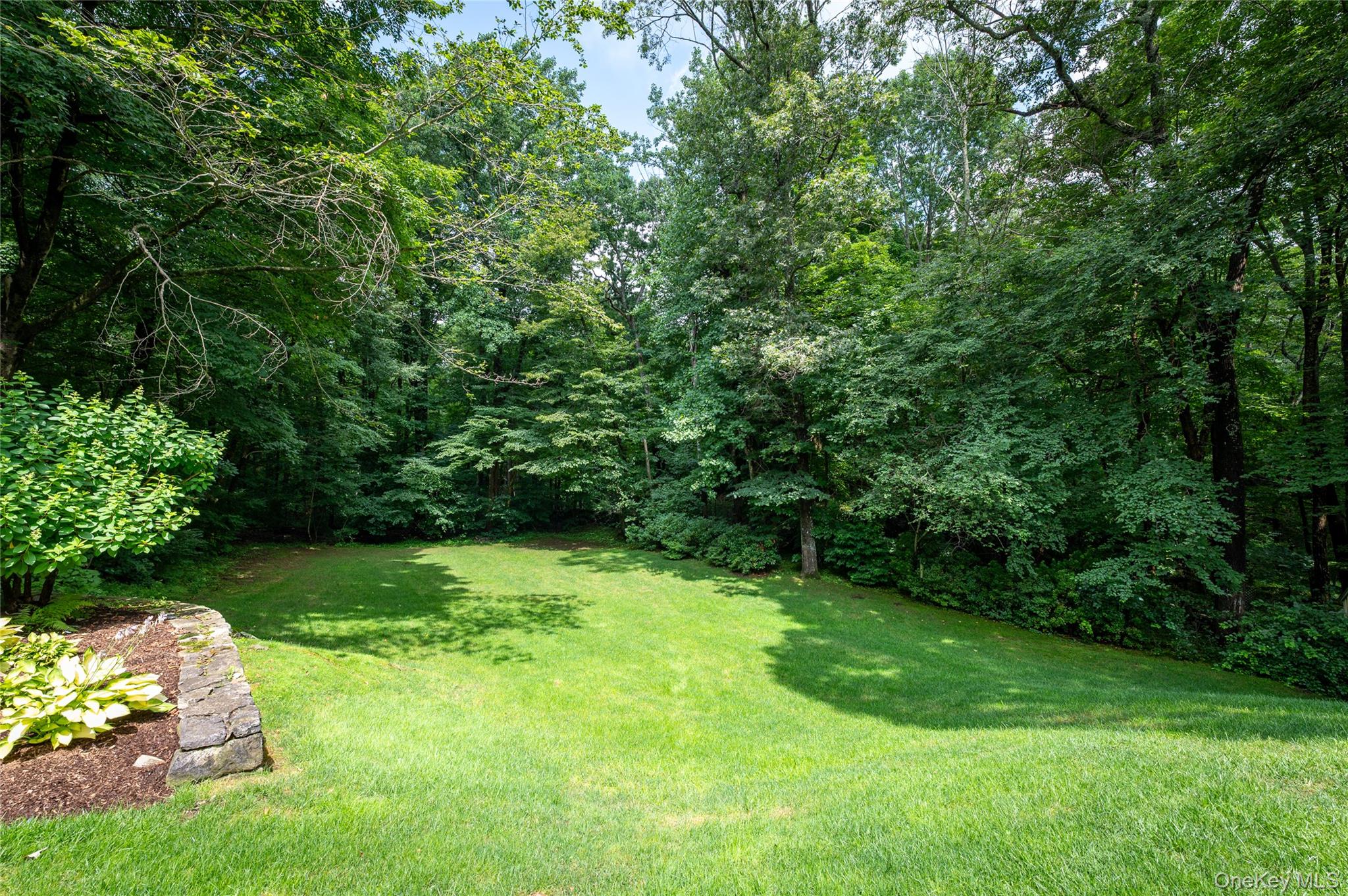 55 Old Logging Road Property Photo 23