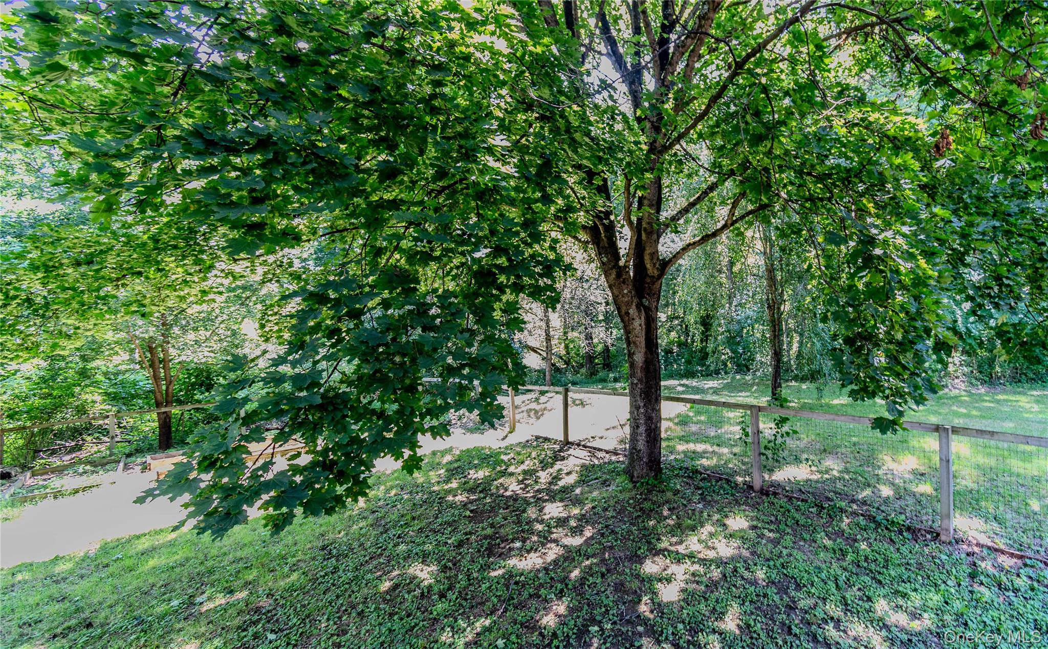 13 Hewlett Road Property Photo 8