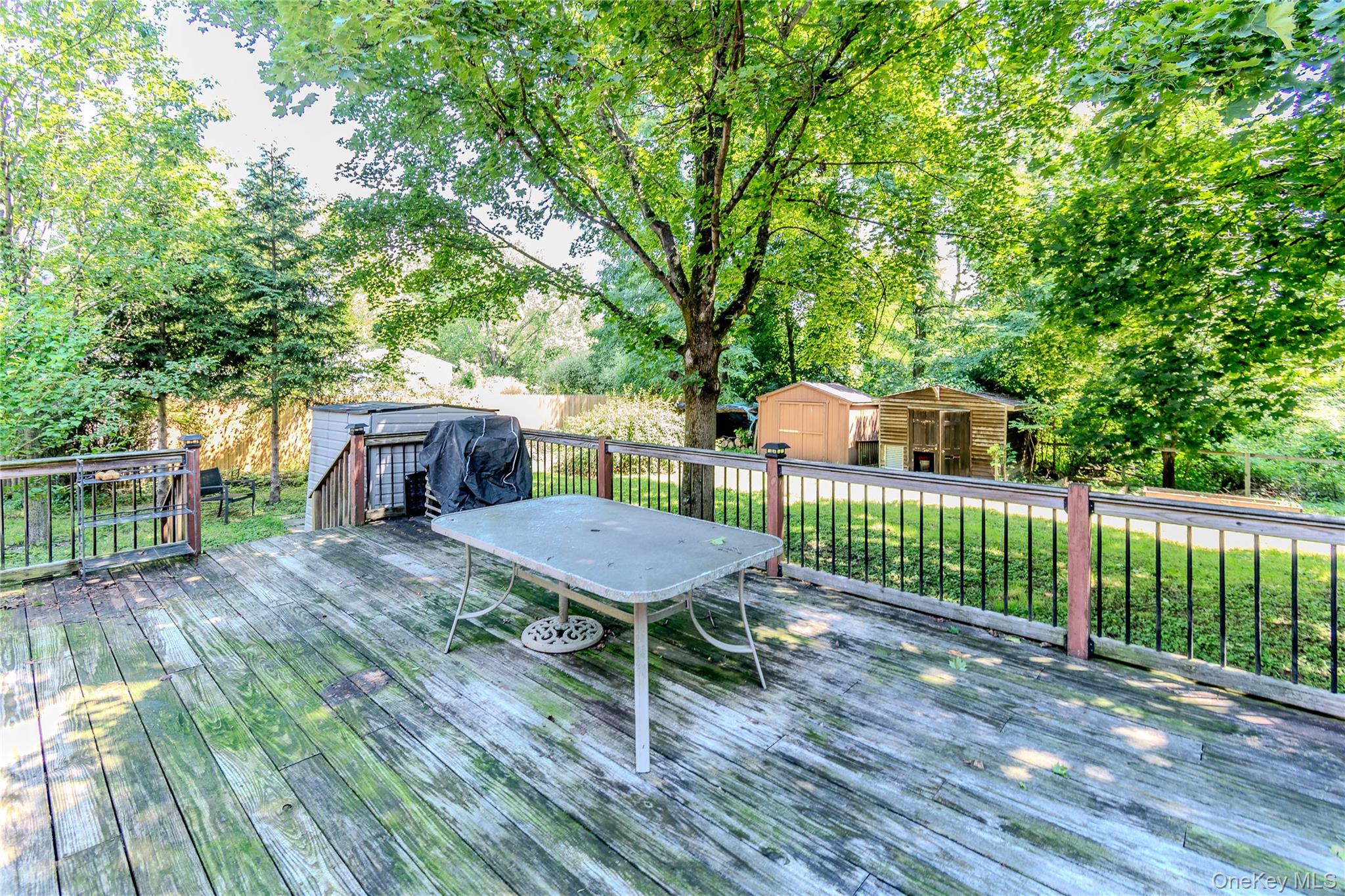 13 Hewlett Road Property Photo 33