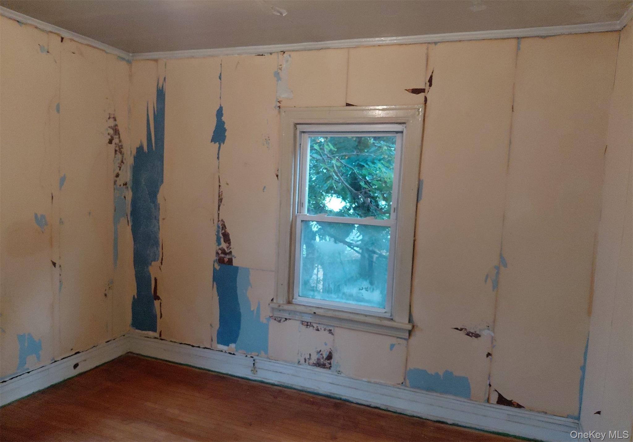 211 Egmont Avenue Property Photo 11
