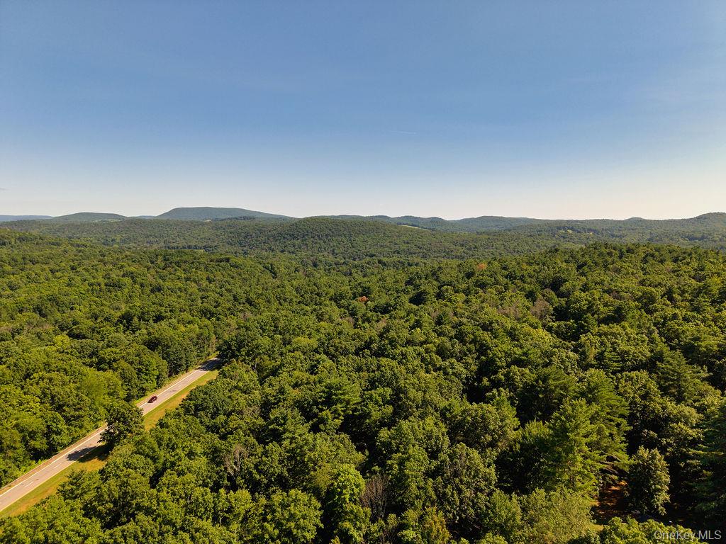 10 Dickman Farm Road Property Photo 47
