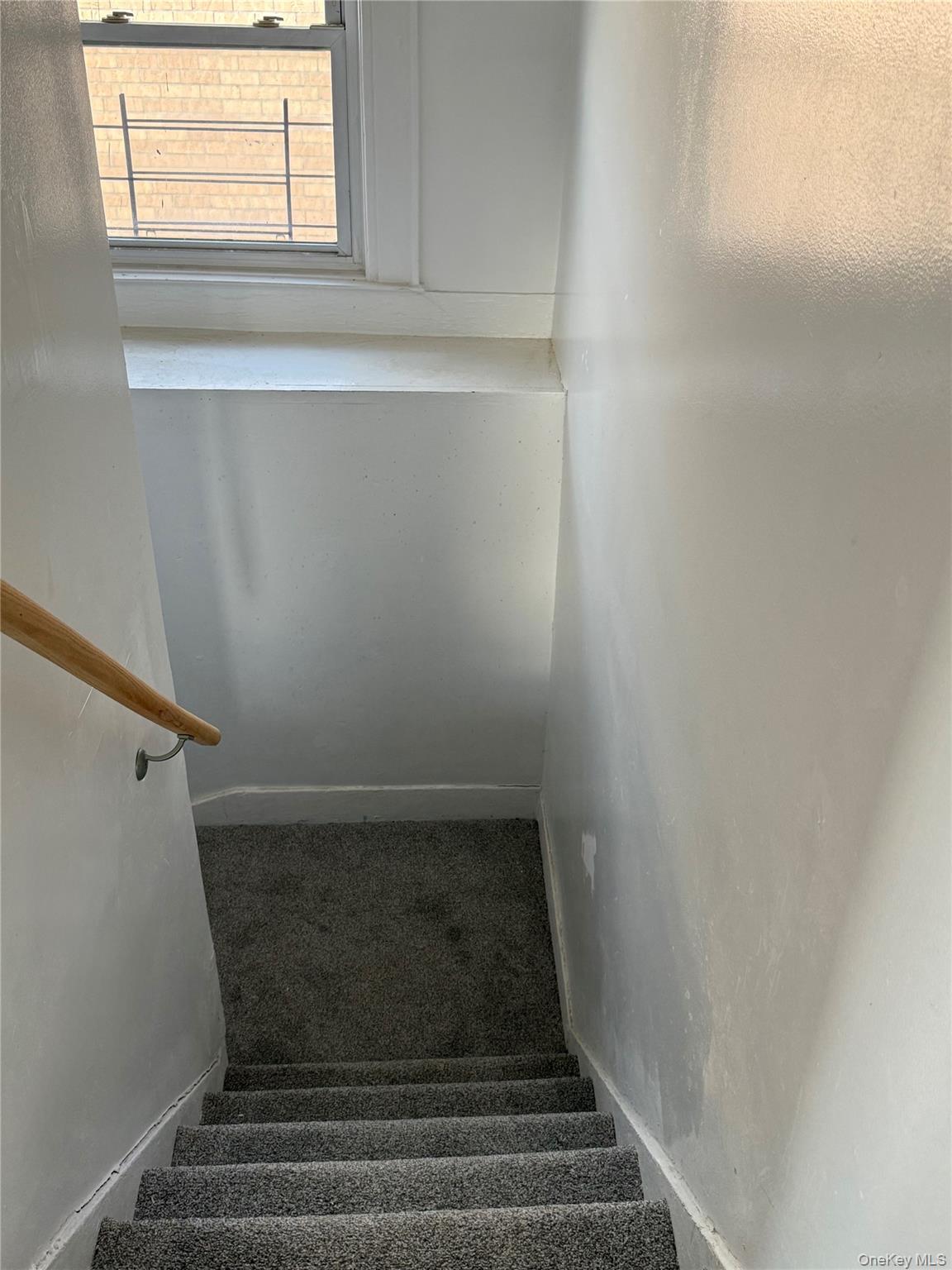 14-04 Dickens Street Property Photo 21
