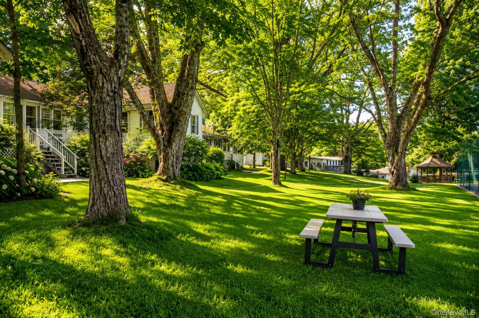 9 Solway Road Property Photo 14