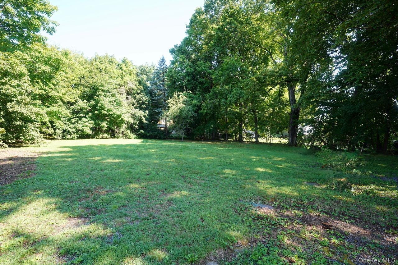 16 Elizabeth Street Property Photo 46