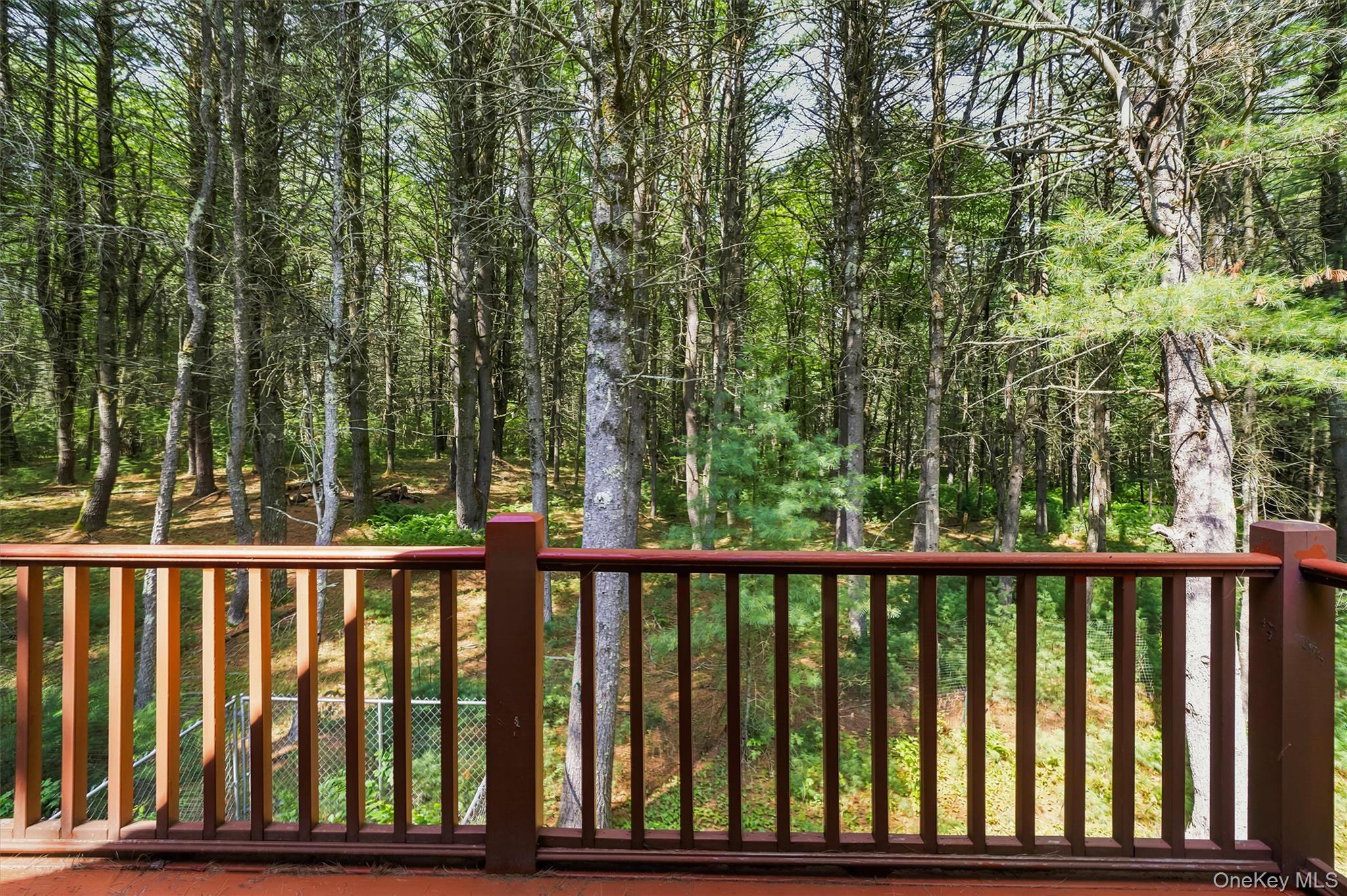 111 Deer Meadow Road Property Photo 31