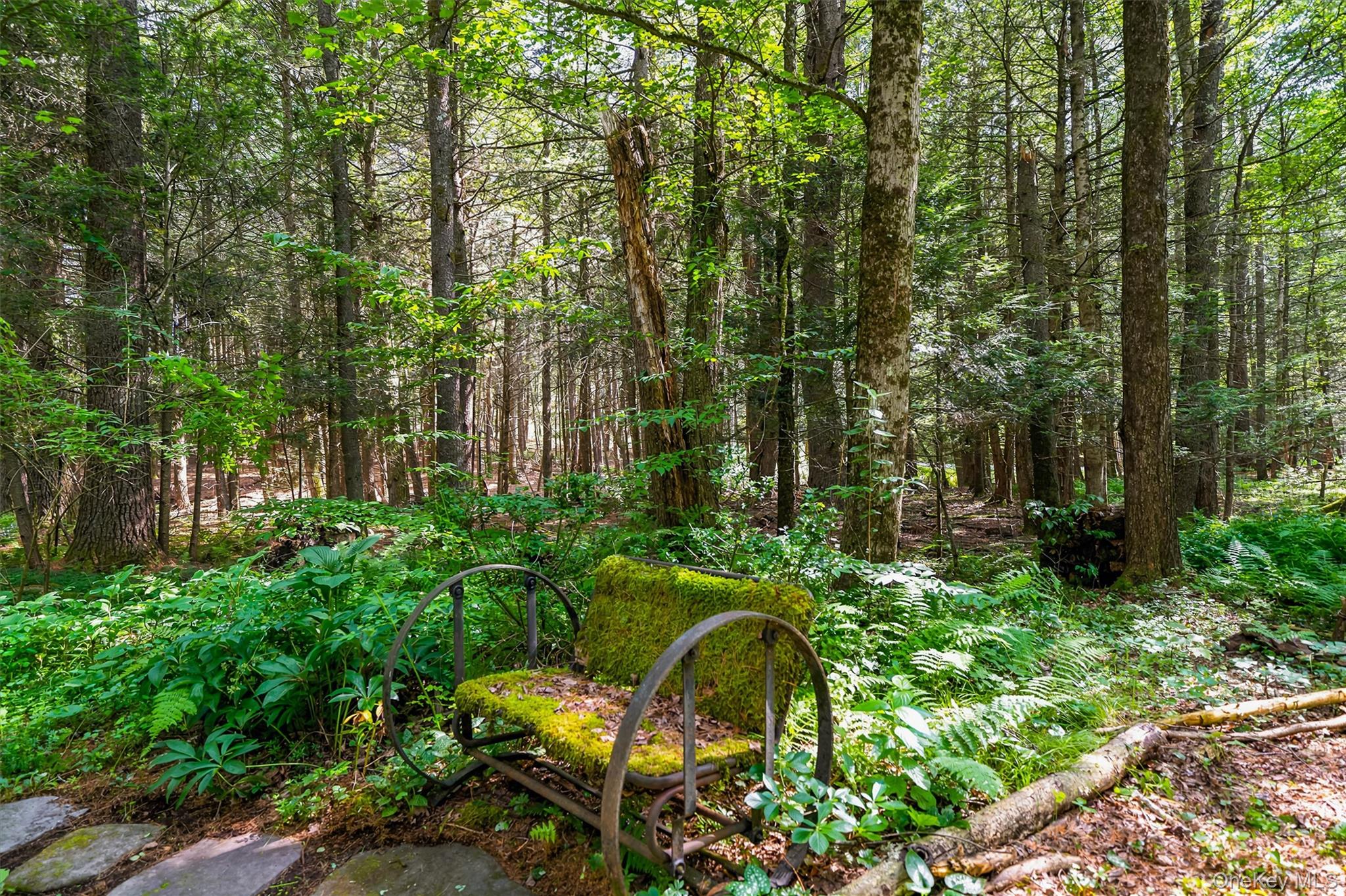 111 Deer Meadow Road Property Photo 46