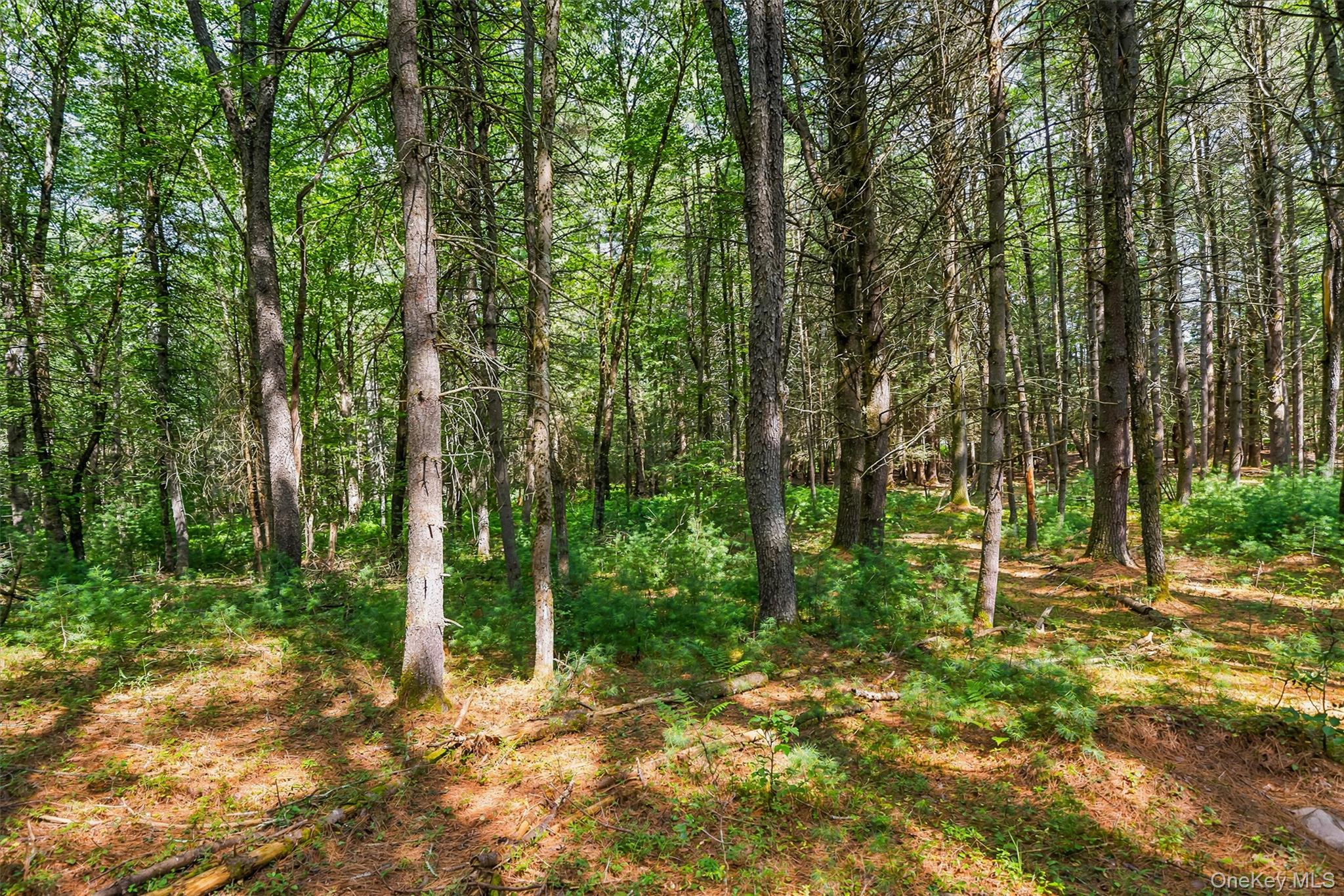 111 Deer Meadow Road Property Photo 49