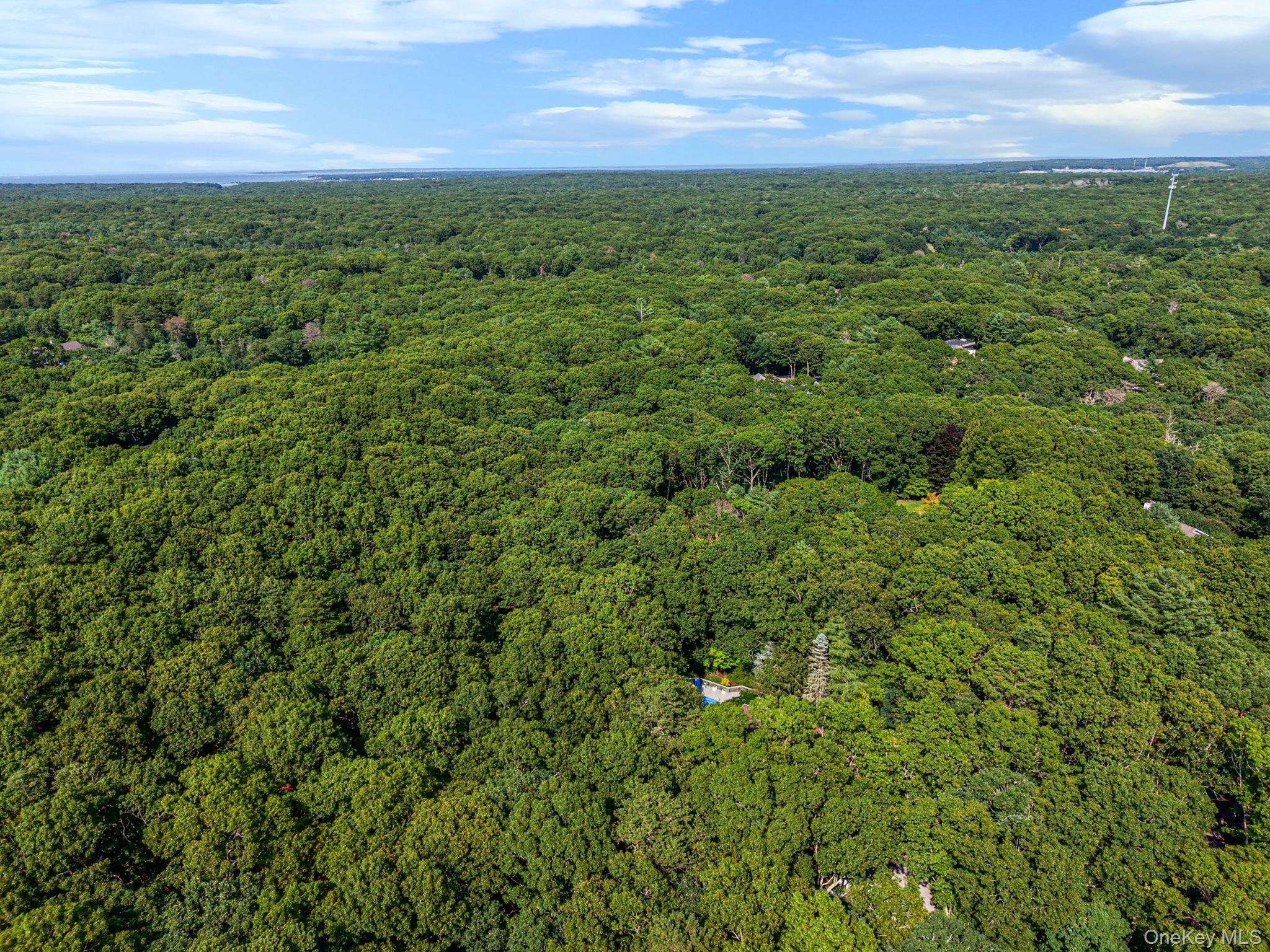 16 Joshuas Path Property Photo 47