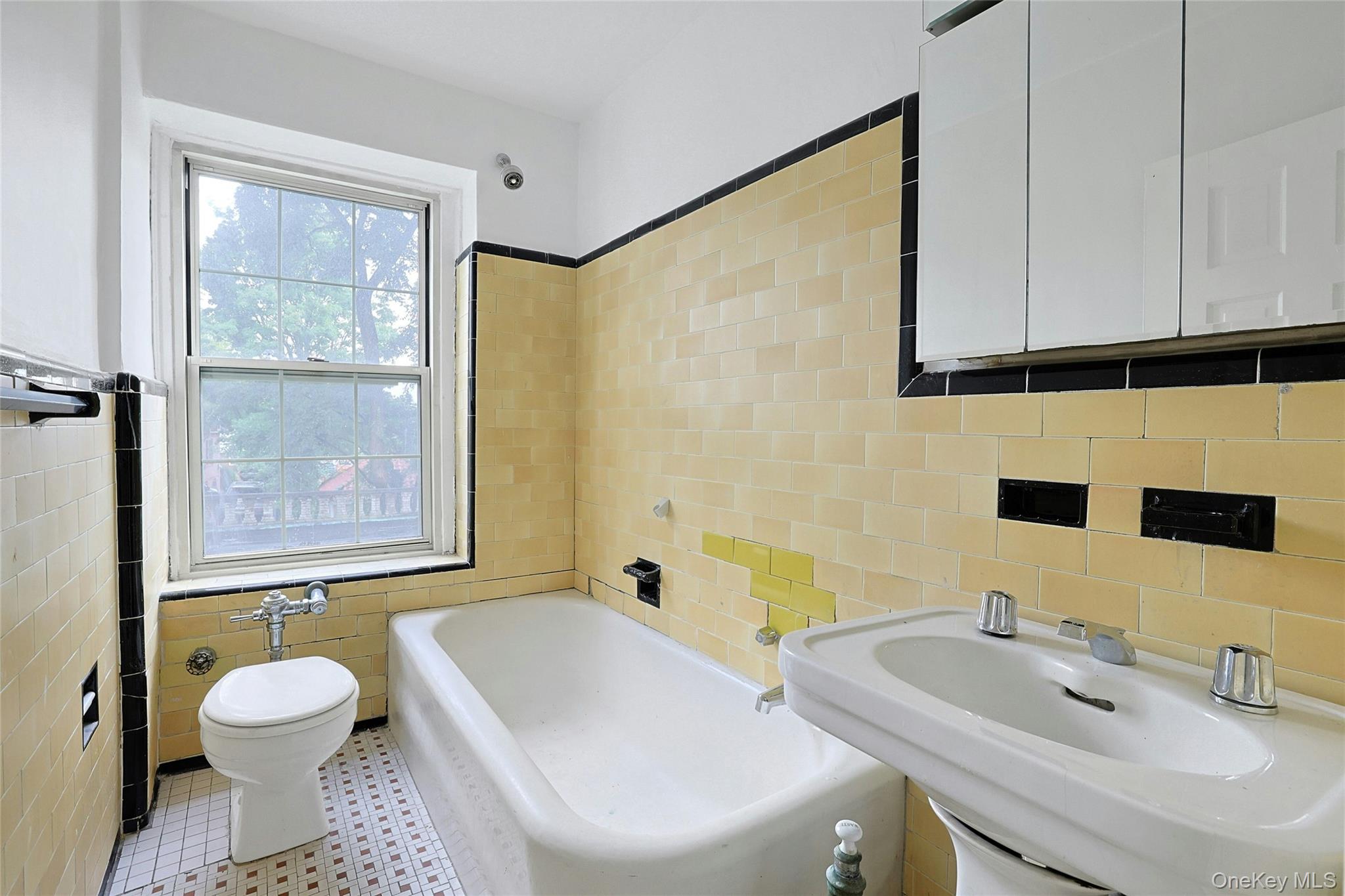 3 Park Lane 1b Property Photo 21