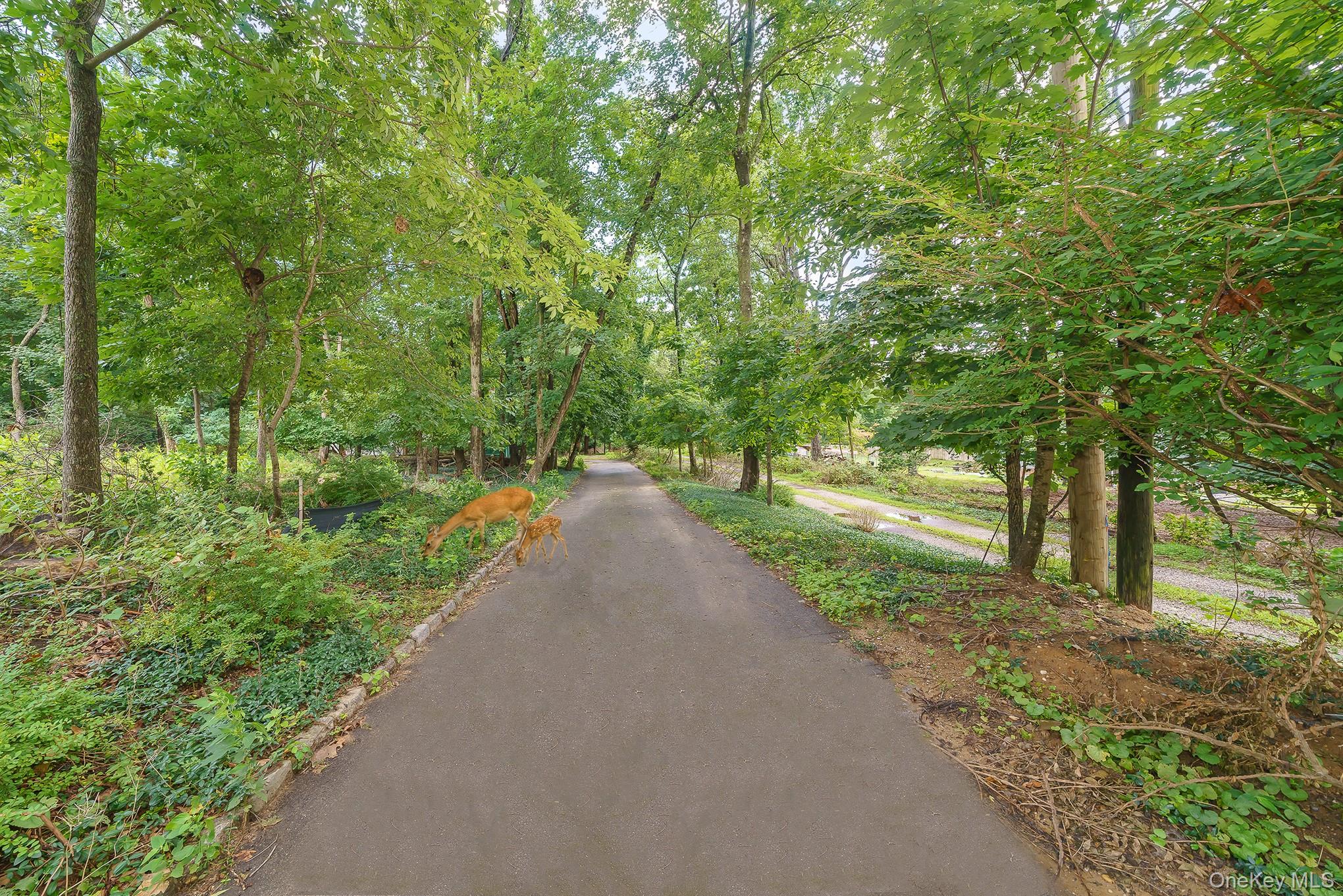 16 Landing Meadow Road Property Photo 45