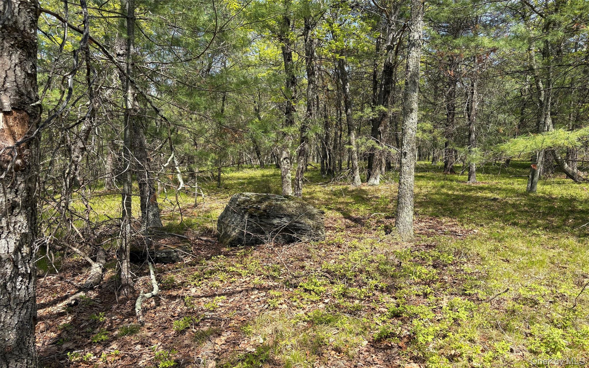 Route 28a Property Photo 2