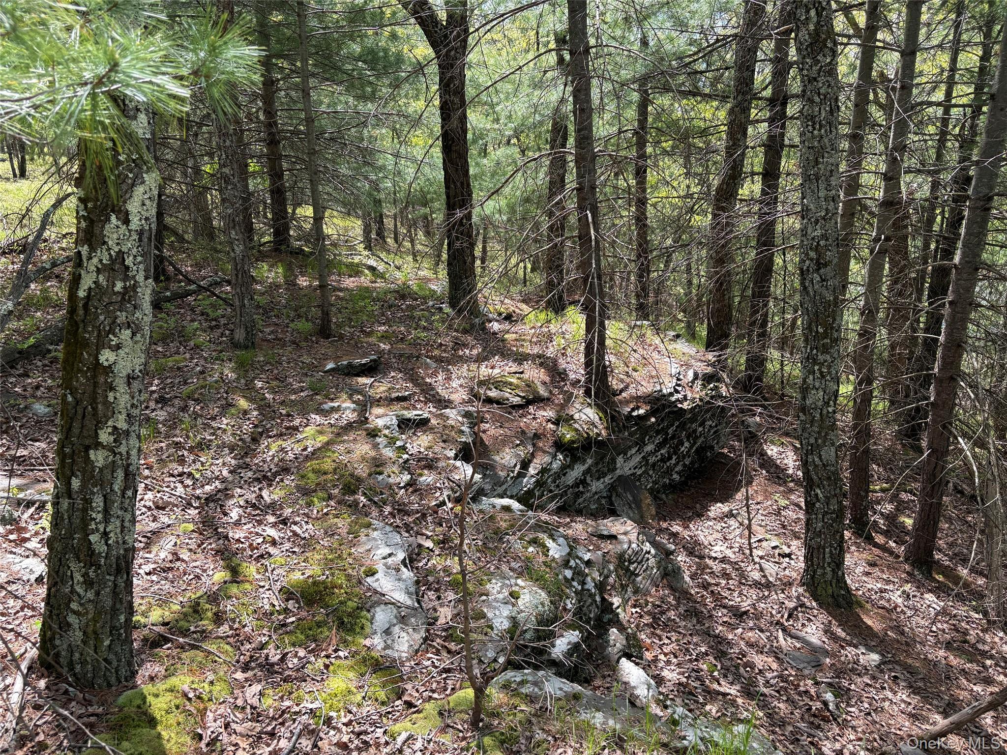 Route 28a Property Photo 5