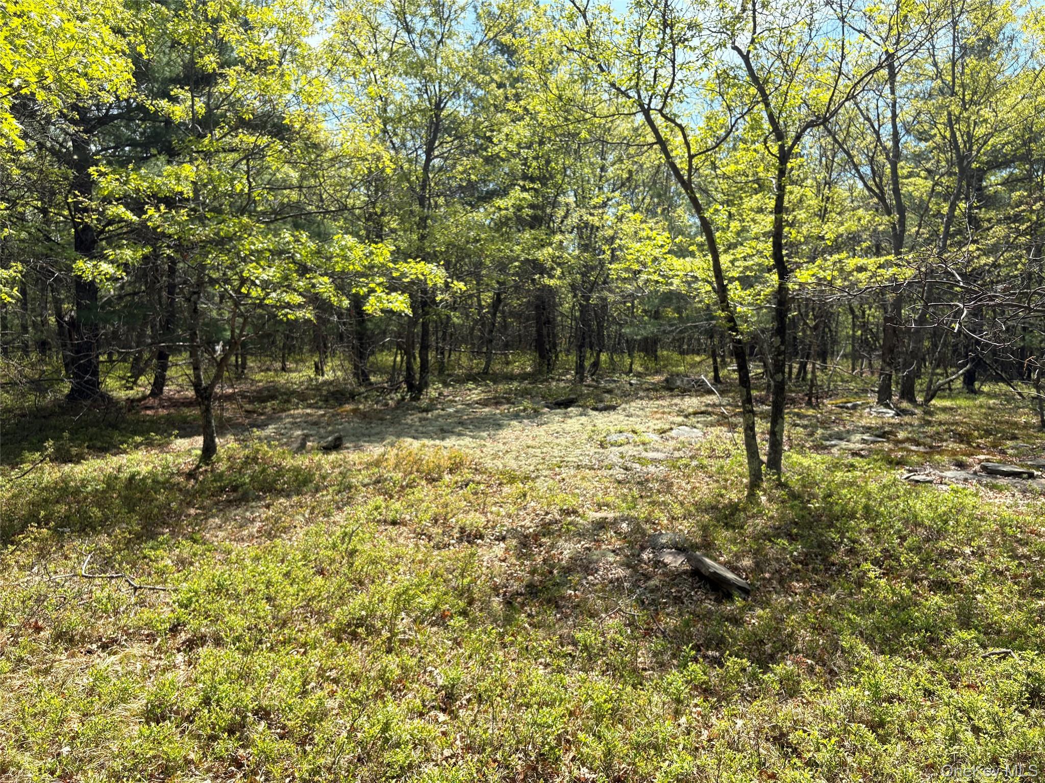 Route 28a Property Photo 6