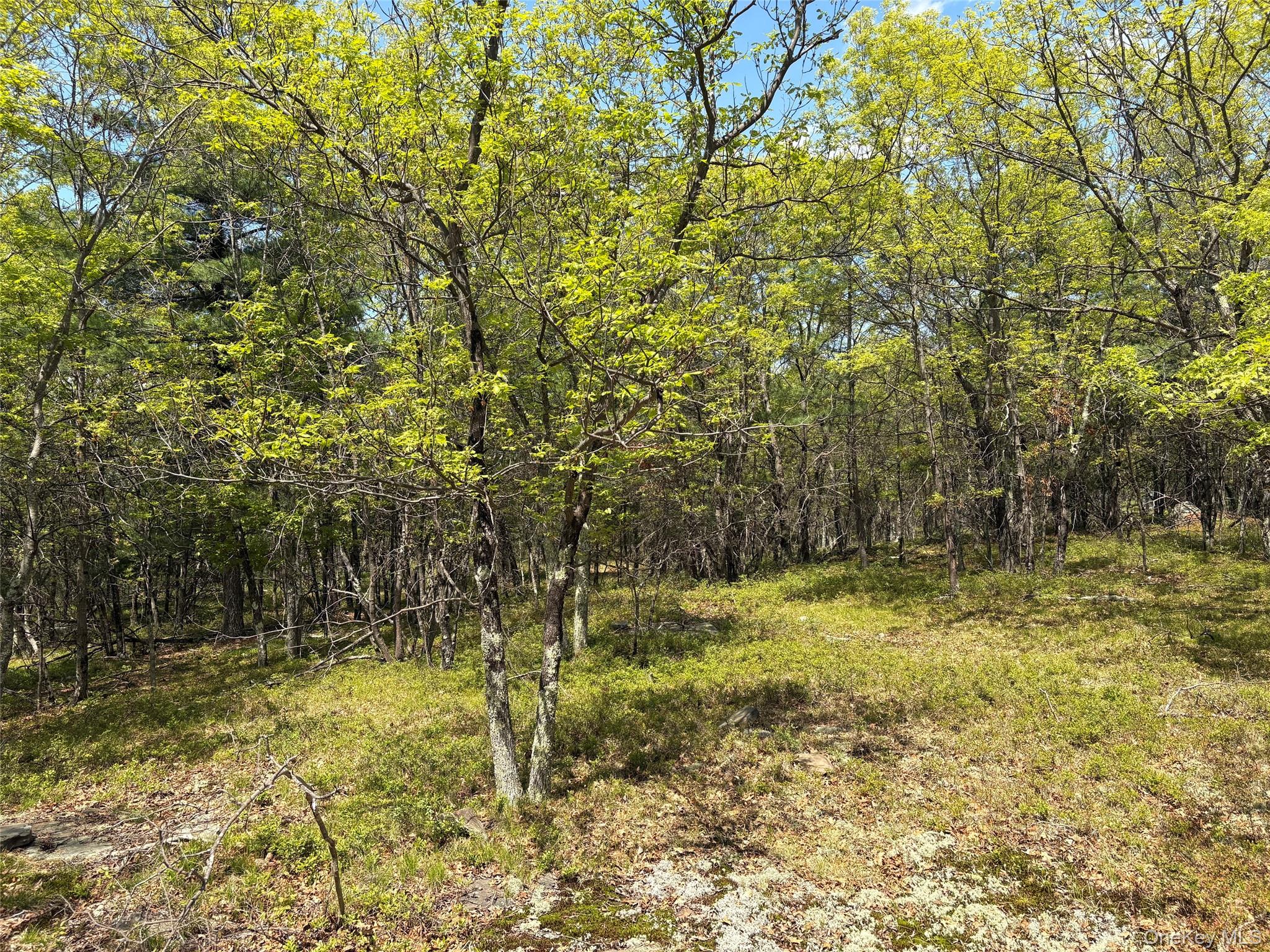 Route 28a Property Photo 7