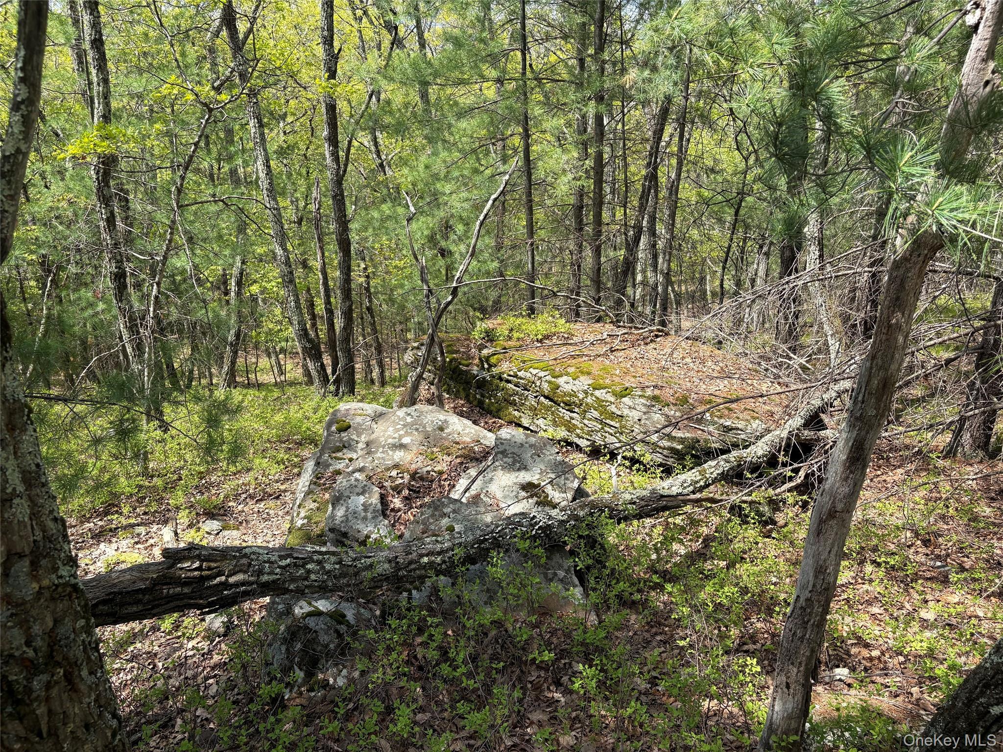 Route 28a Property Photo 8