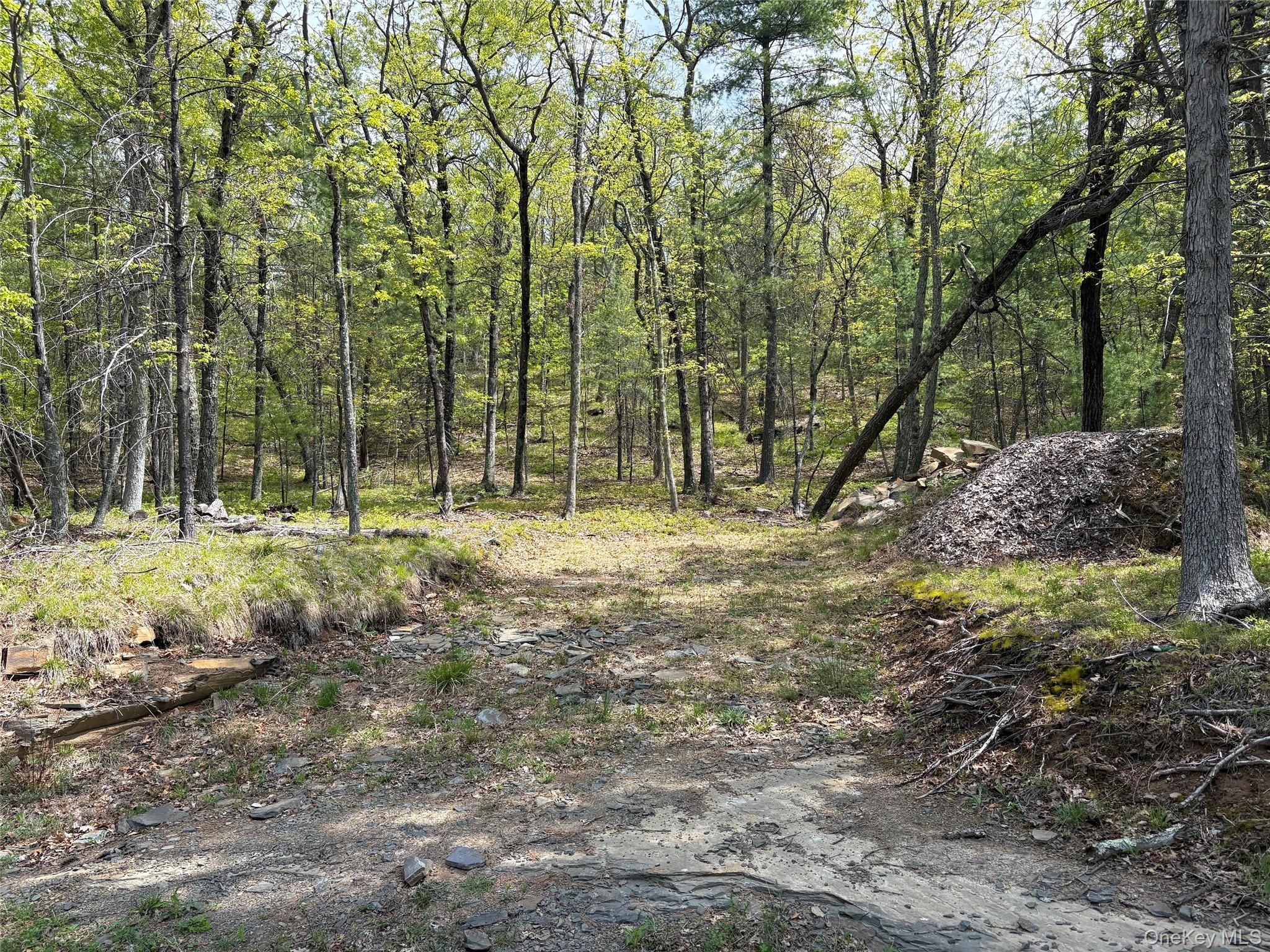 Route 28a Property Photo 9